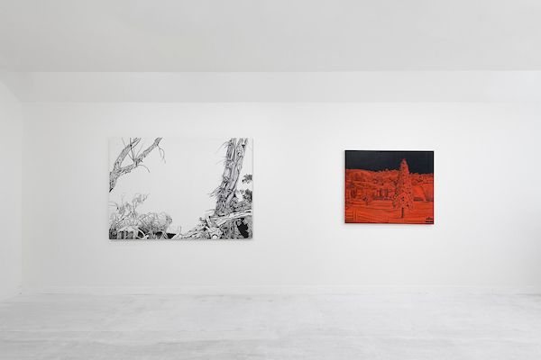 Nicole Irene Anderson, A Tangled Coexistence at Johansson Projects, photo 5