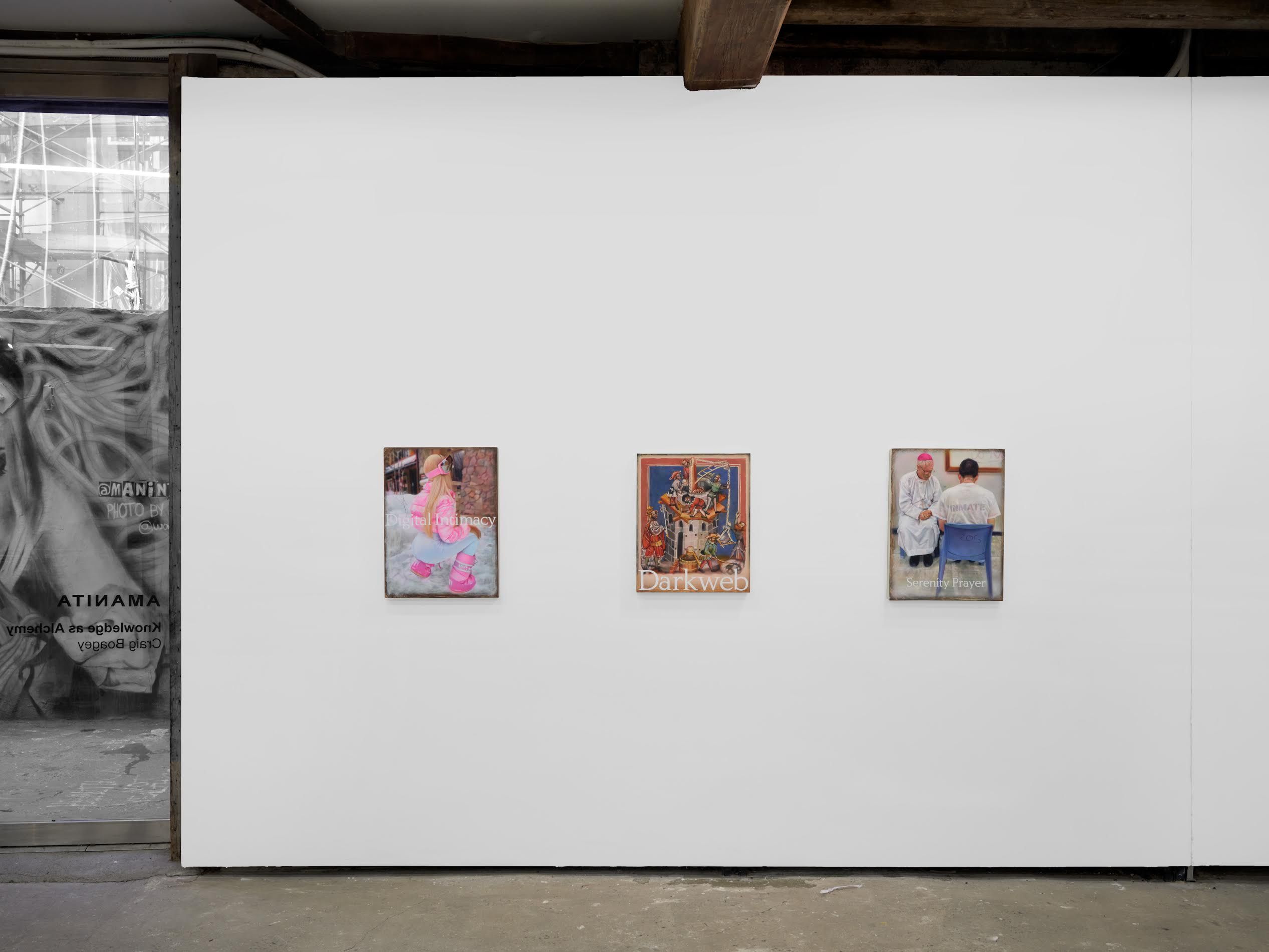Craig Boagey, Knowledge as Alchemy at Amanita, photo 6