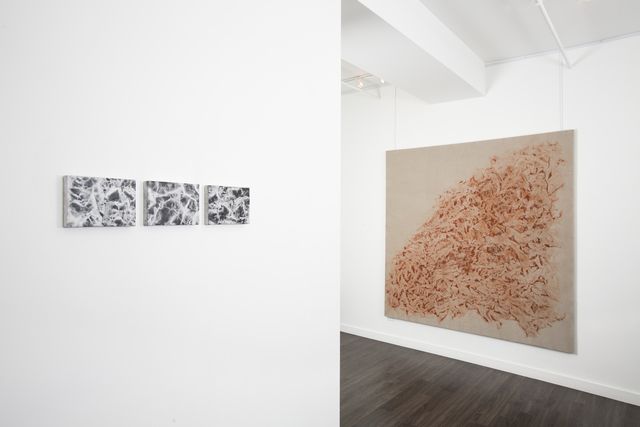 Vicky Colombet, Earth at Christian Duvernois Gallery, photo 7