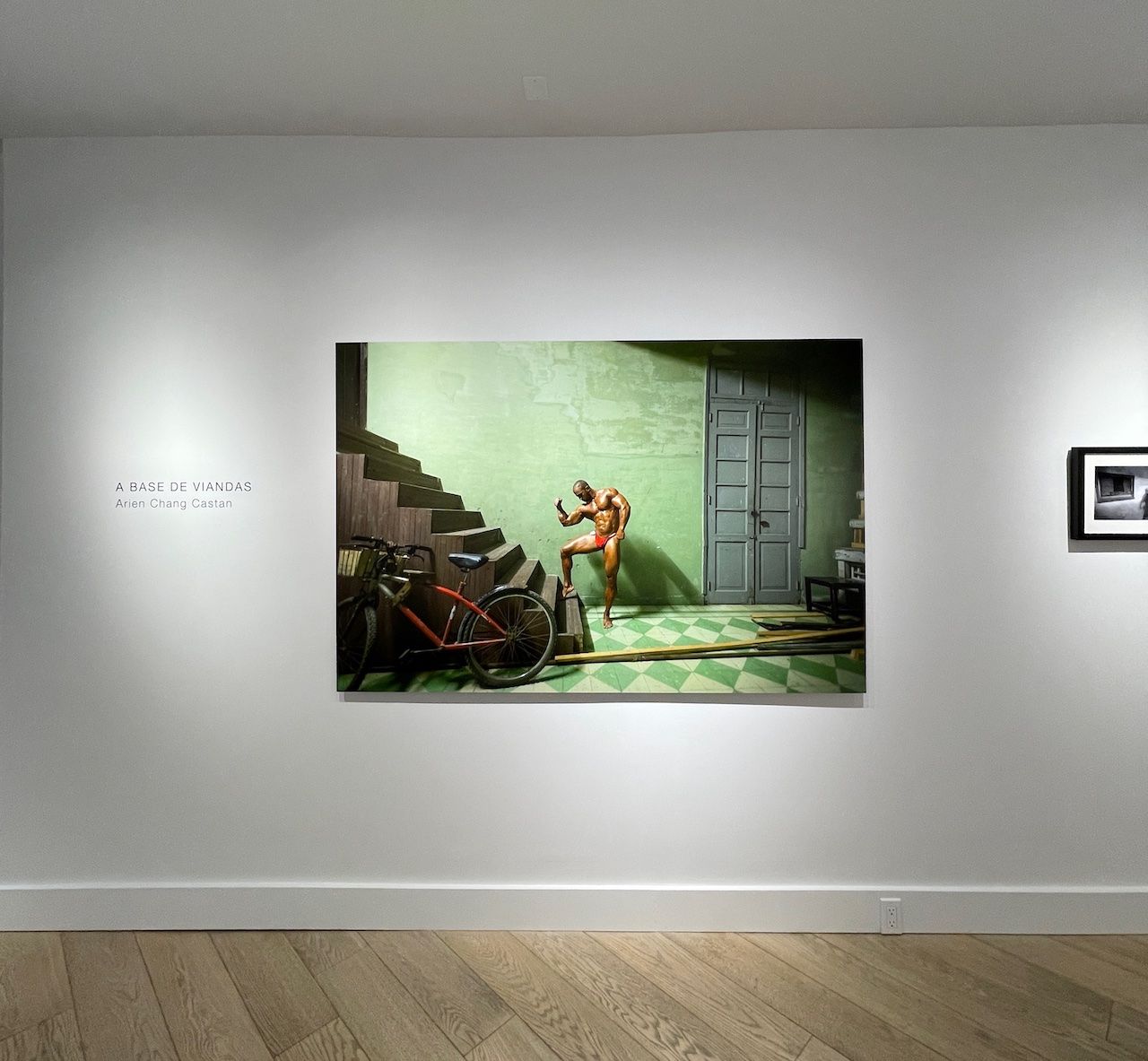 Arien Chang Castan, A Base de Viandas at Thomas Nickles Project, photo 4