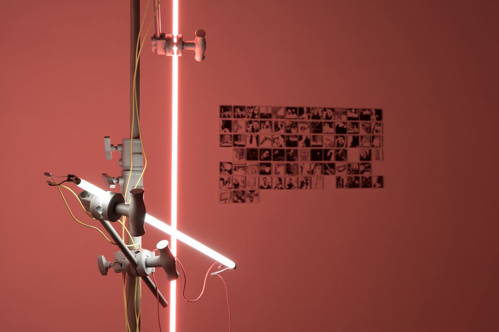 Camel Collective, Something Other Than What You Are at Black Ball Projects, photo 4