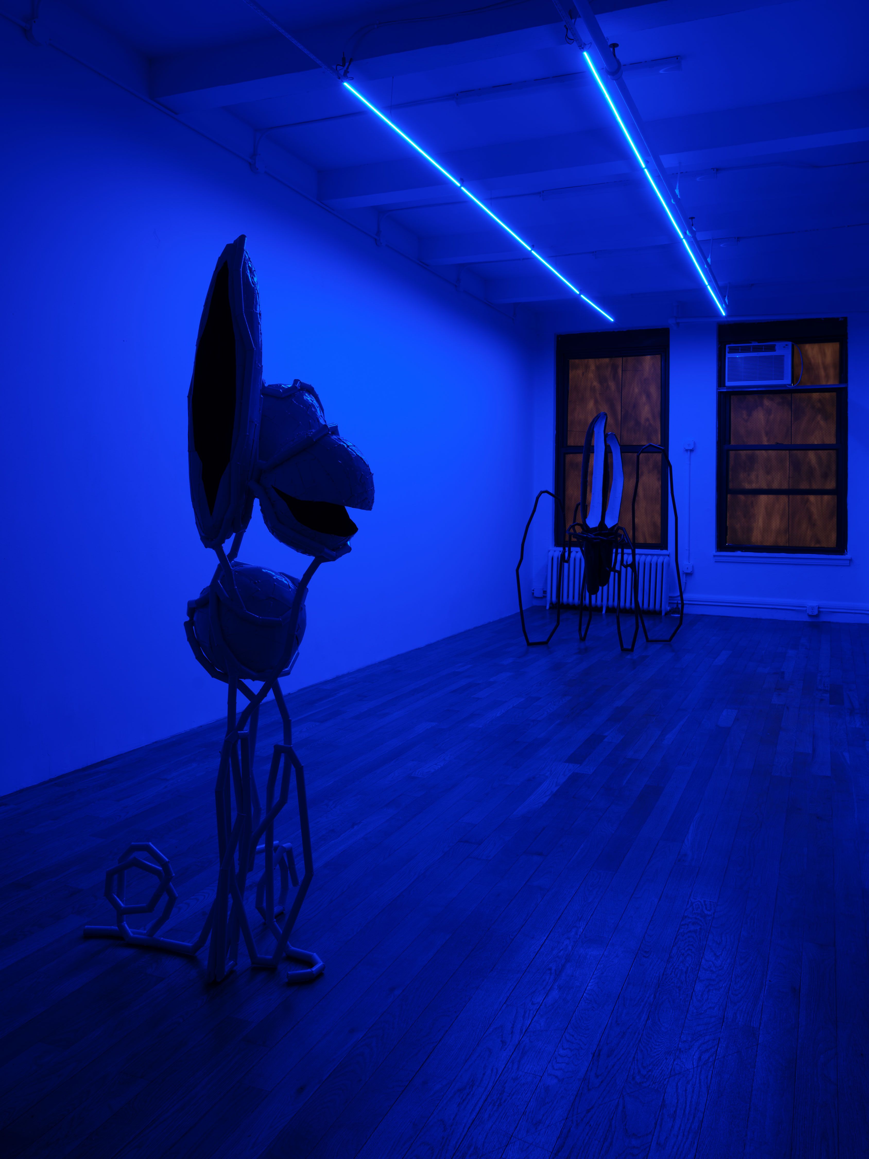 Indrikis Gelzis, Bingo Gaze at Polina Berlin Gallery, photo 5