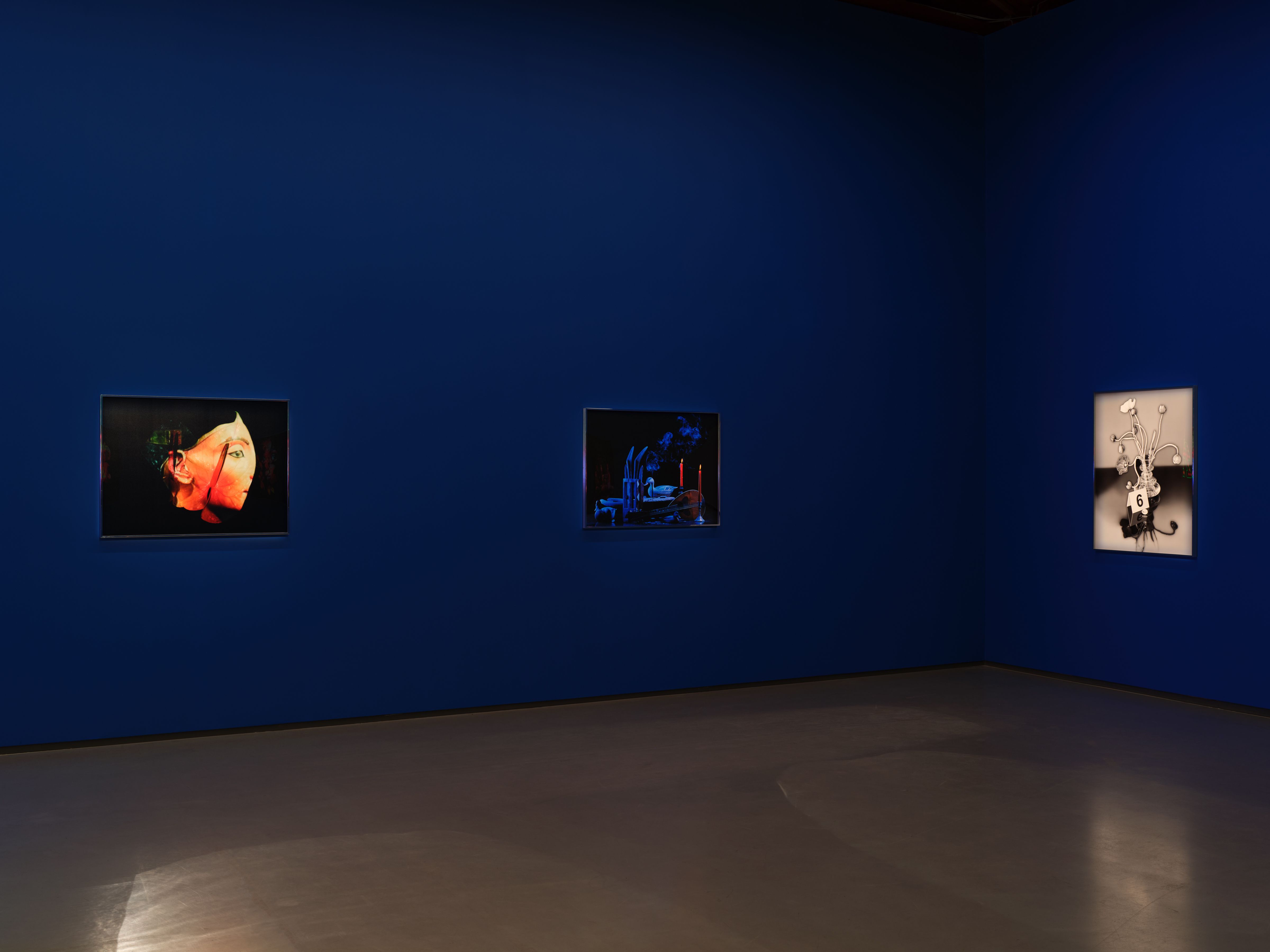 Awol Erizku, Moon, Turn the Flames...Gently Gently Away at Sean Kelly, photo 9