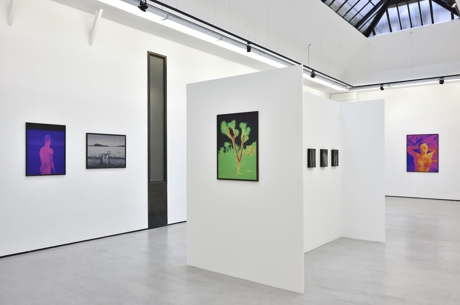 Smith, Dami at Christophe Gaillard, photo 2