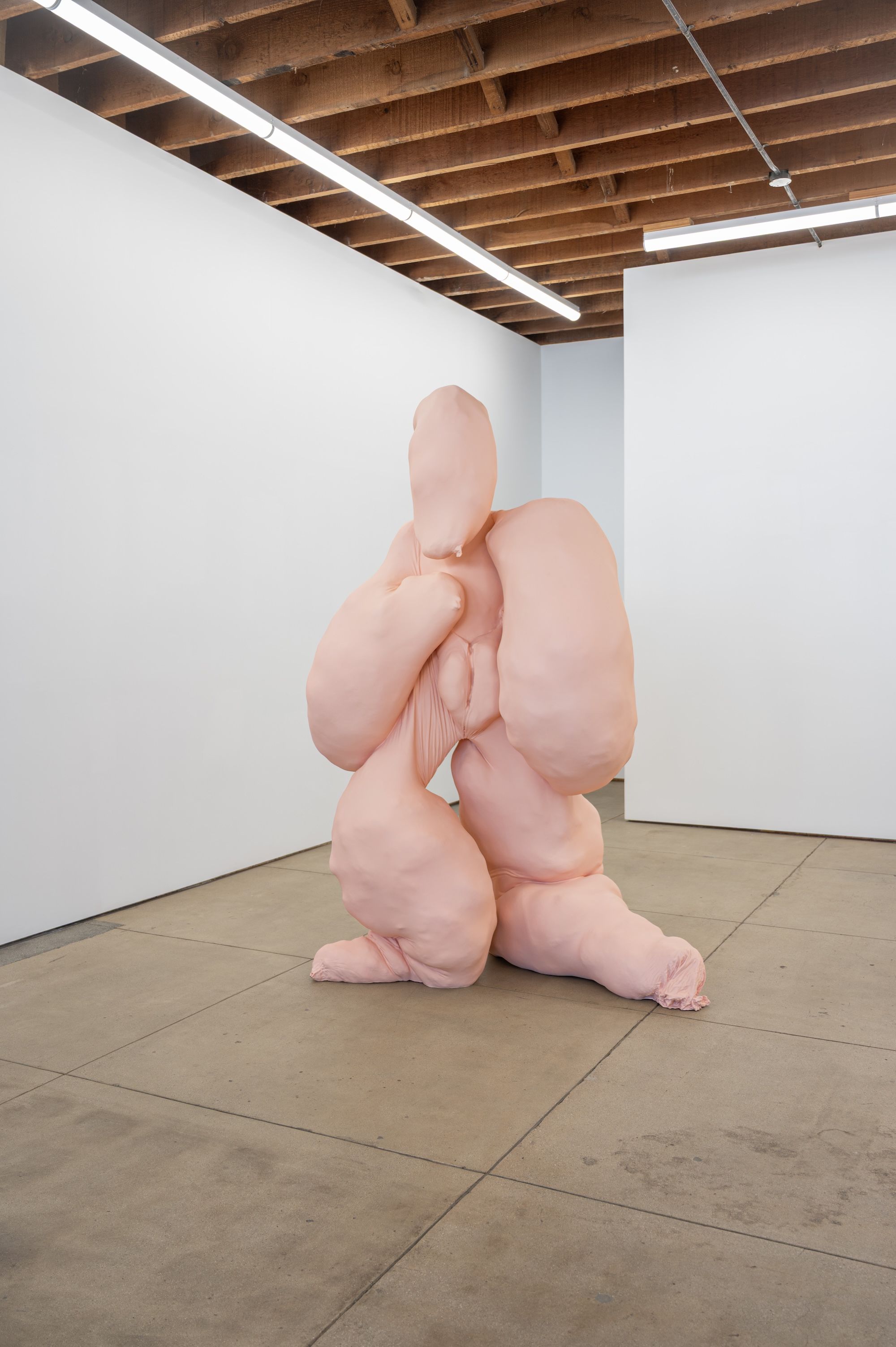 Polly Borland, Blobs and Bod at Wilding Cran, photo 3