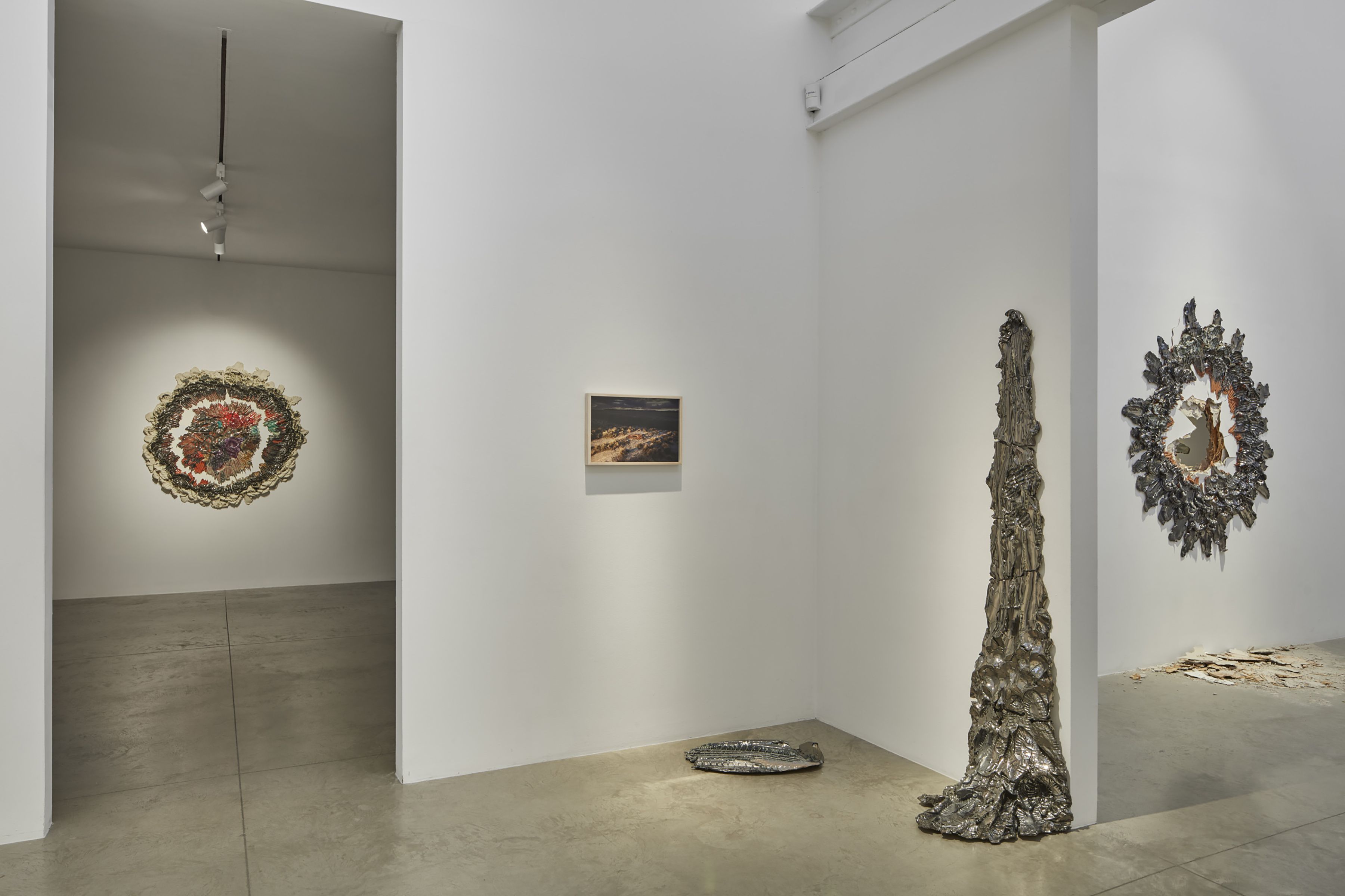 Brie Ruais, Some Things I Know About Being in a Body at Albertz Benda, photo 3