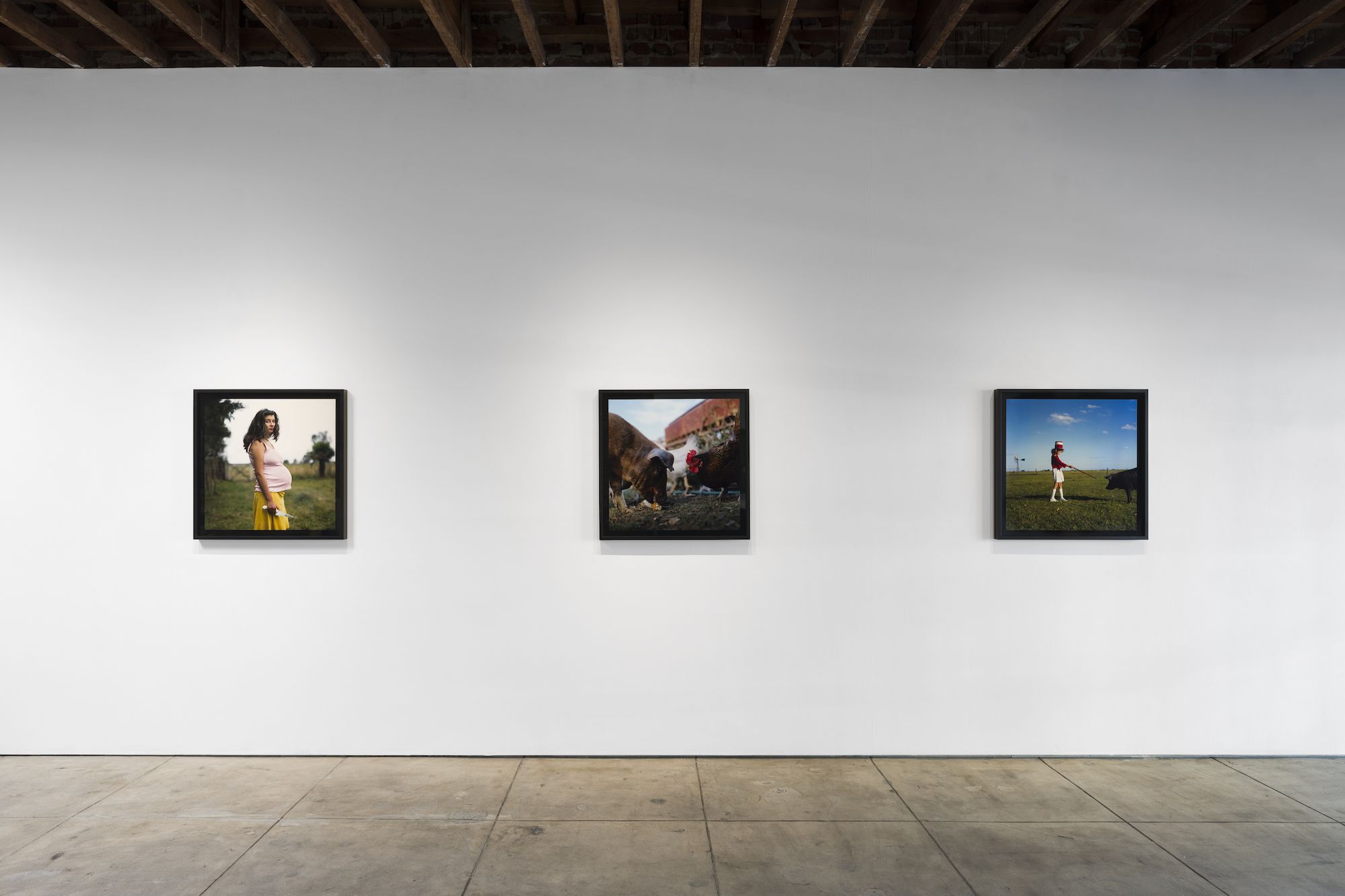 Alessandra Sanguinetti, The Sixth Day at Webber, photo 5
