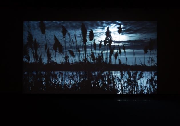 Philippe Parreno, If This Then Else at Gladstone, photo 3