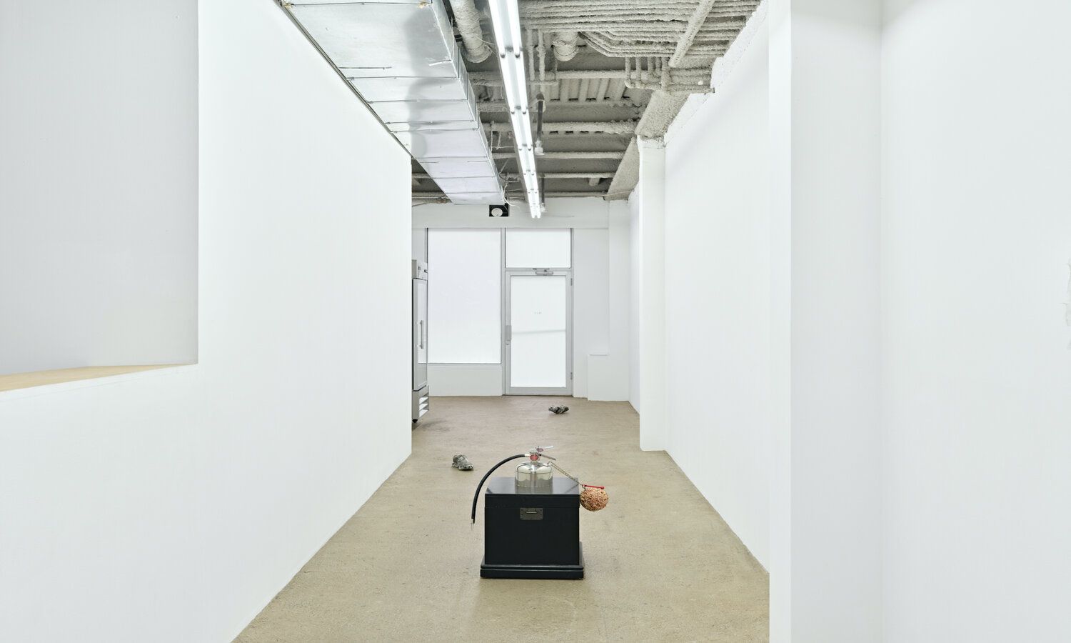 Arcadian Feedback, Arcadian Feedback at M 2 3, photo 18
