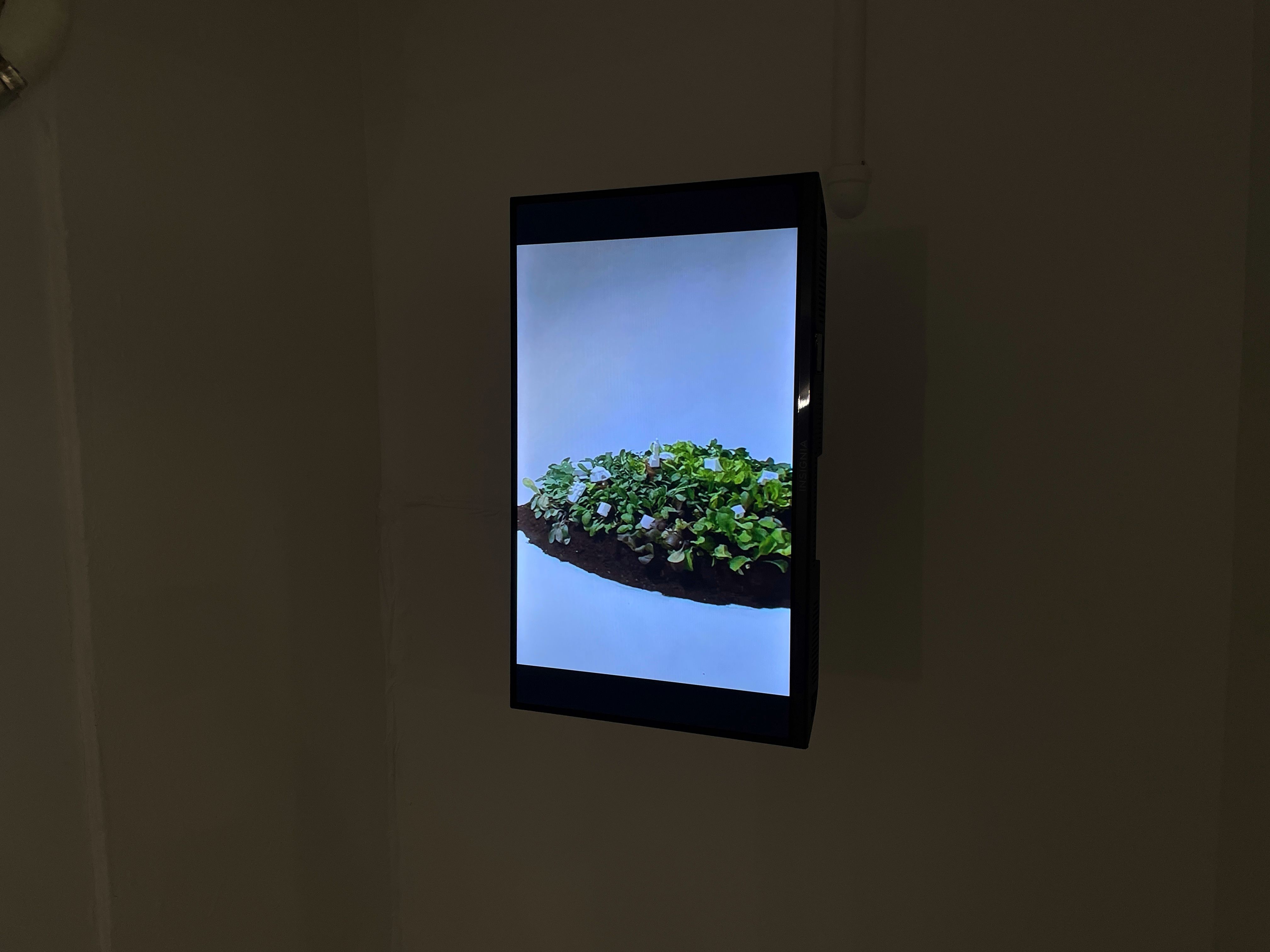 En-Man Chang, Mapping Snail at Nunu Fine Art, photo 8