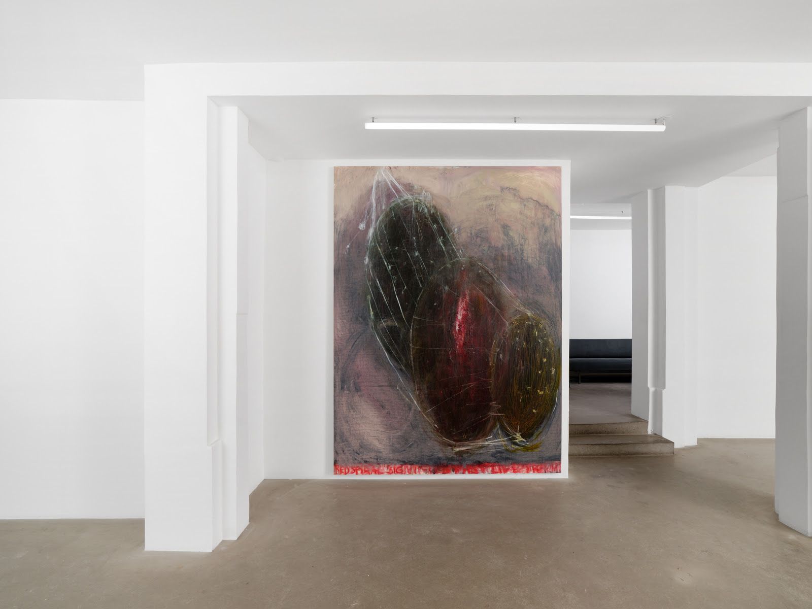 Mercedes Llanos, image 6 of 8