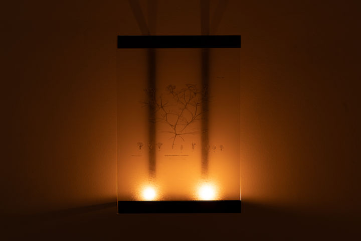 Anna Mikkola, Ghosts (Redux) at L'Inconnue, photo 10