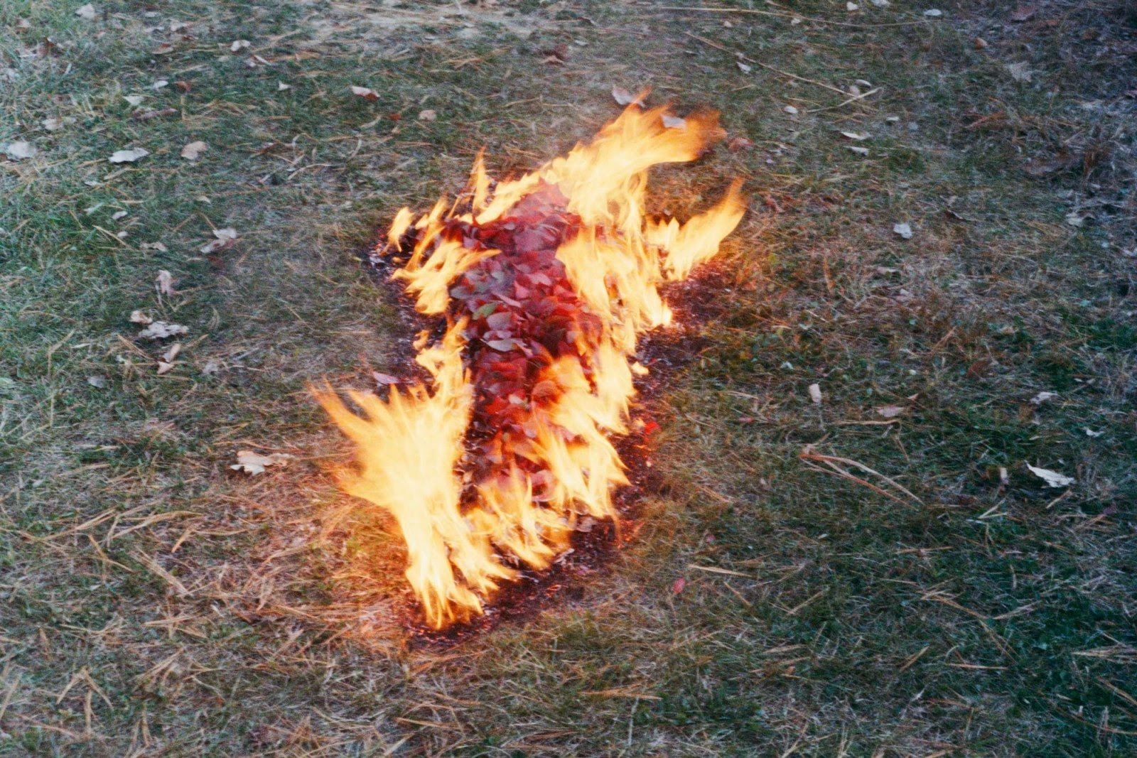Ana Mendieta, Back to the Source at Marian Goodman, photo 2