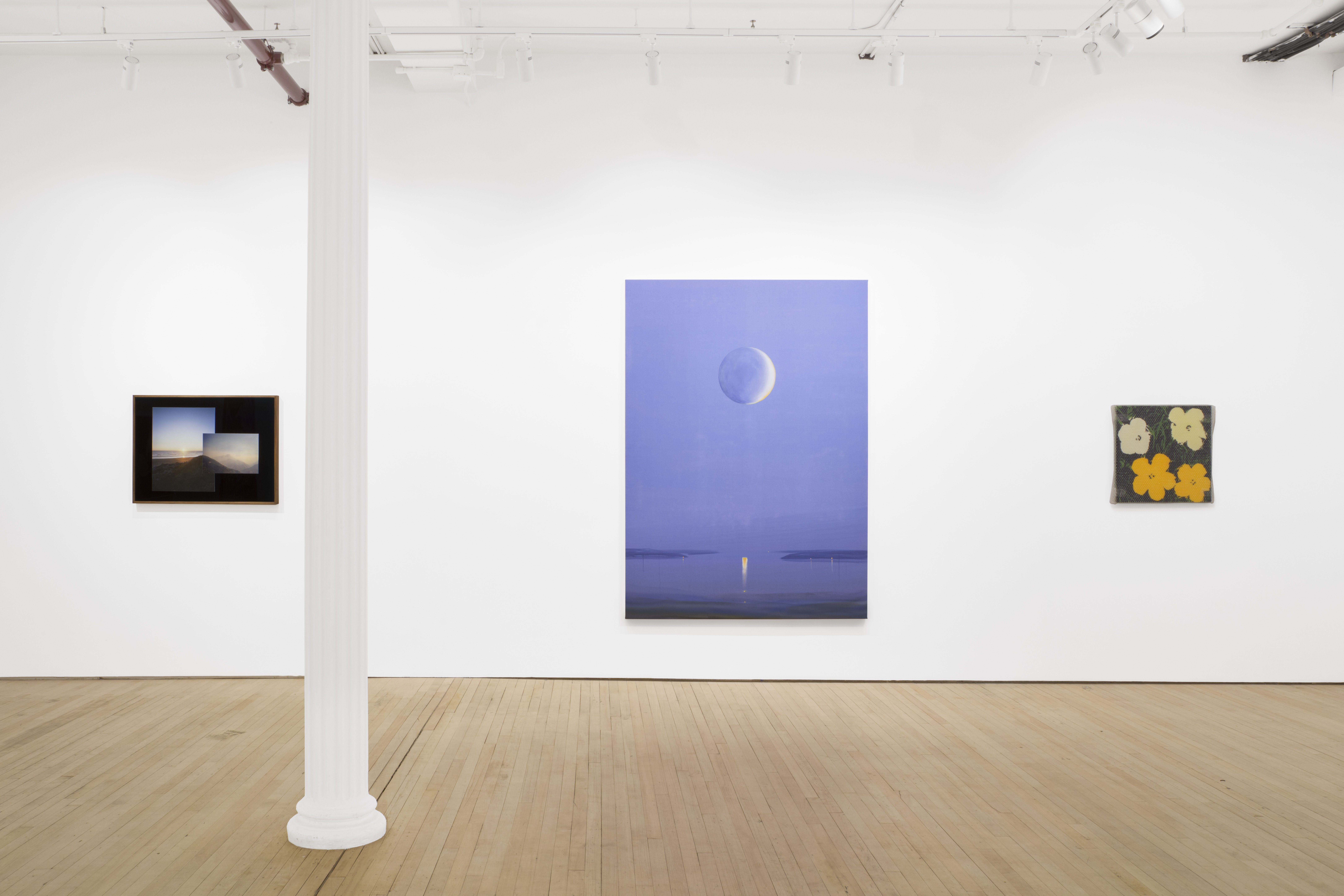 Superbloom, Superbloom at Arsenal Contemporary Art, photo 2