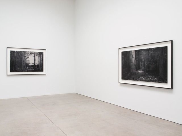 Hiroshi Sugimoto, Still Life at Pace Gallery, photo 5