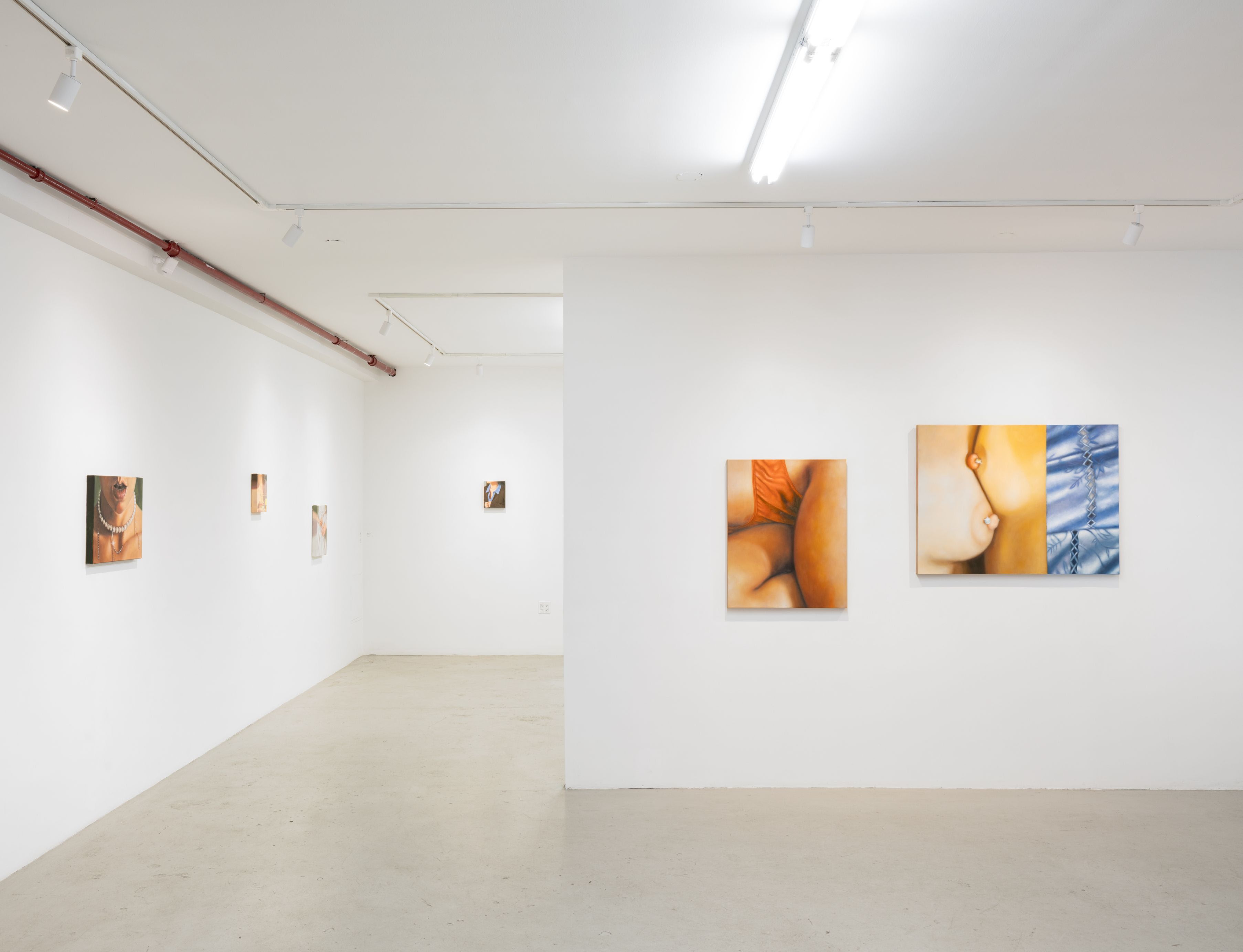 Jesse Zuo & Sarah Cotton, Focus Tension at Plato, photo 11