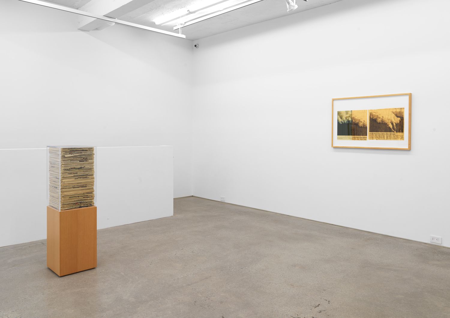 Jennifer Bolande, The Composition of Decomposition at Magenta Plains, photo 2