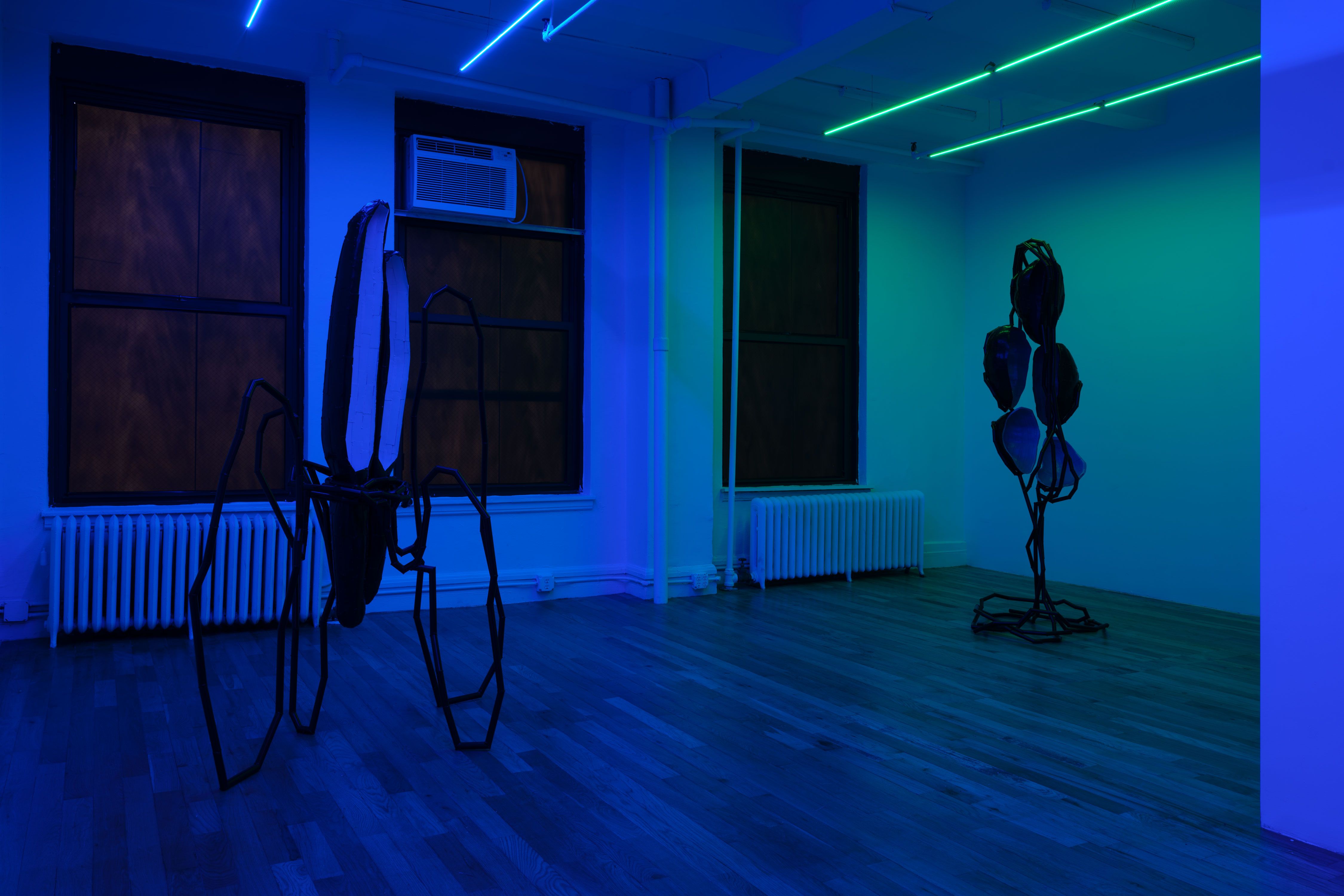 Indrikis Gelzis, Bingo Gaze at Polina Berlin Gallery, photo 7