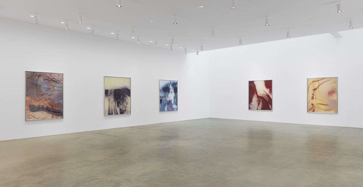 Anicka Yi, ÄLñ§ñ at Gladstone, photo 2