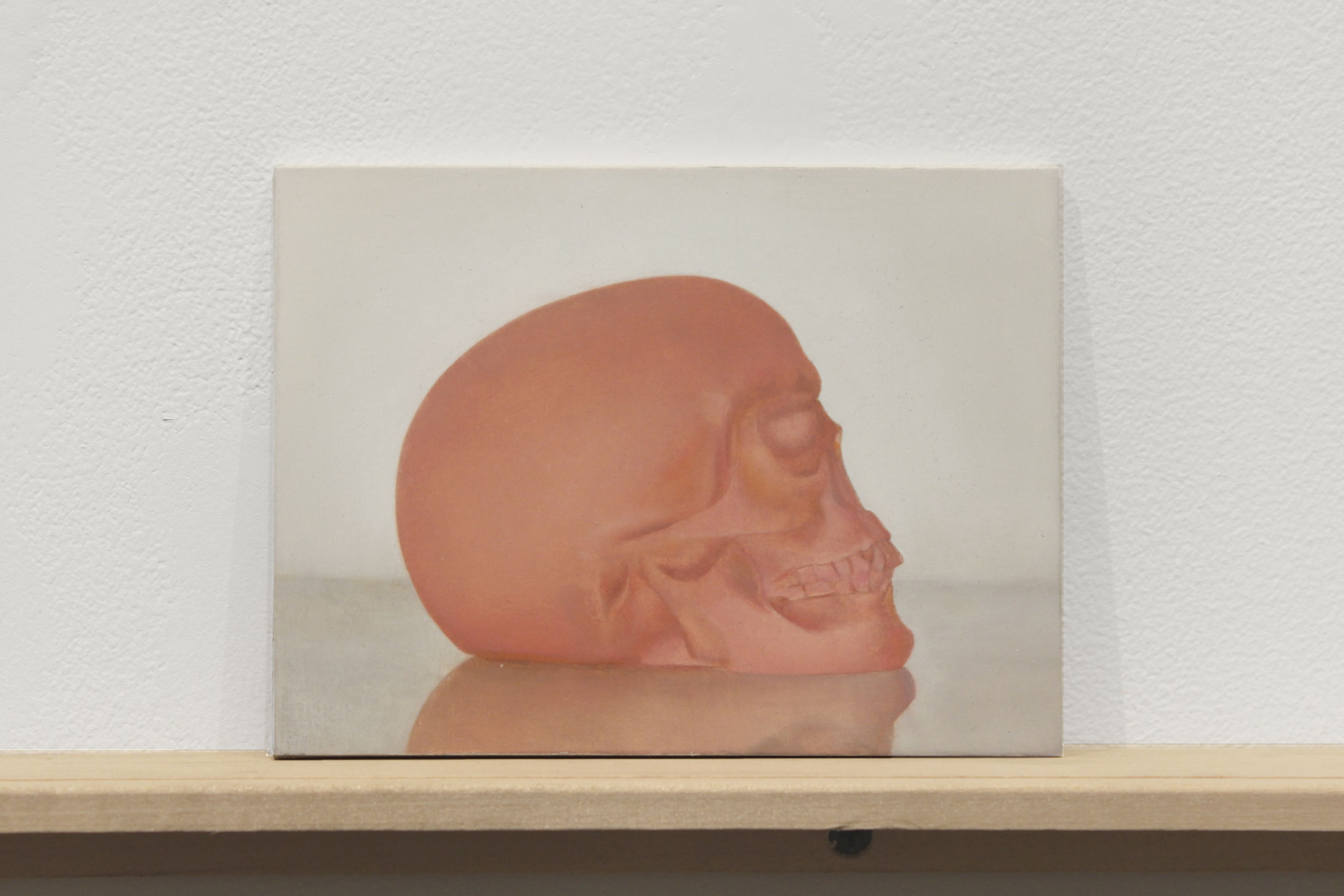 Martí Cormand, Formalizing Their Concept: After Levine, After Evans at Josée Bienvenu, photo 8