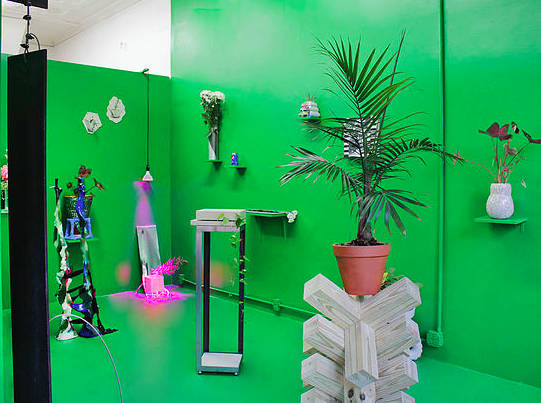 The Plant Show, The Plant Show at 99¢ Plus Gallery, photo 4