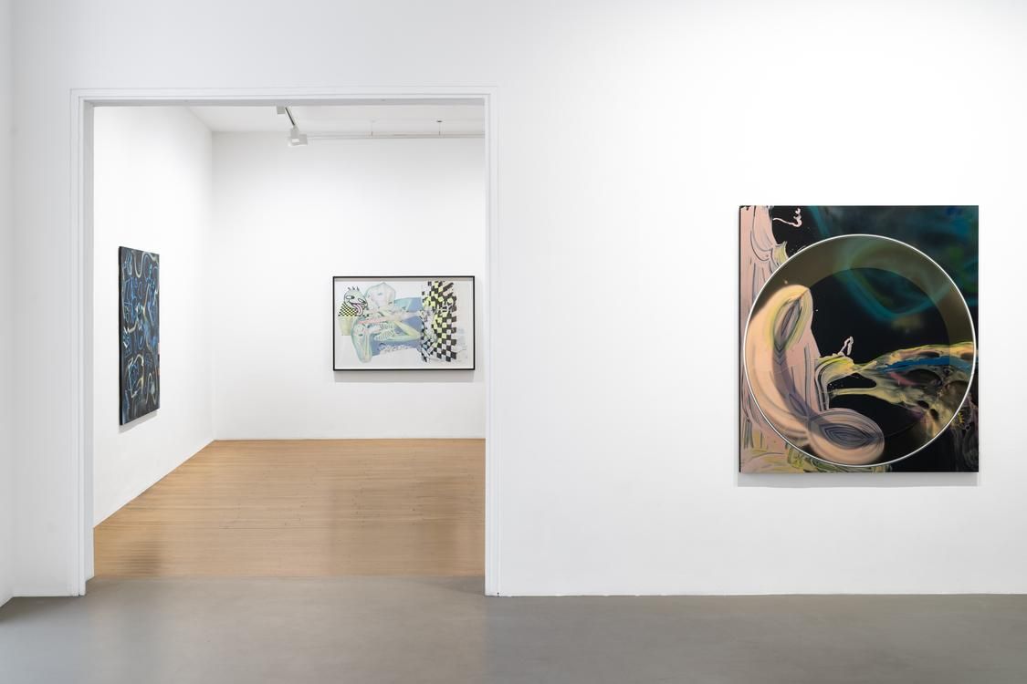 Seth Price, Free Fall at Chantal Crousel, photo 3