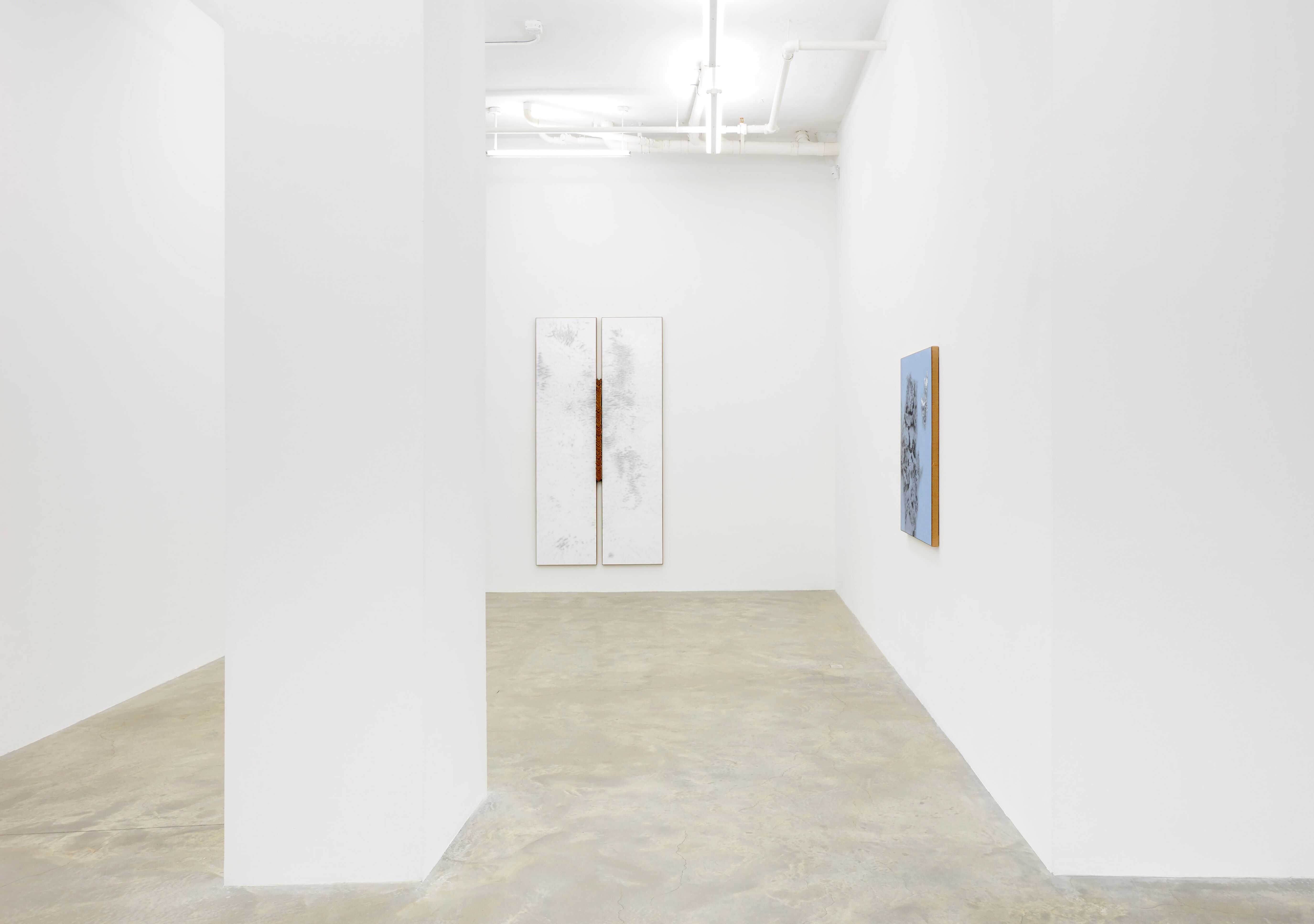 N. Dash, N. Dash at Casey Kaplan, photo 18