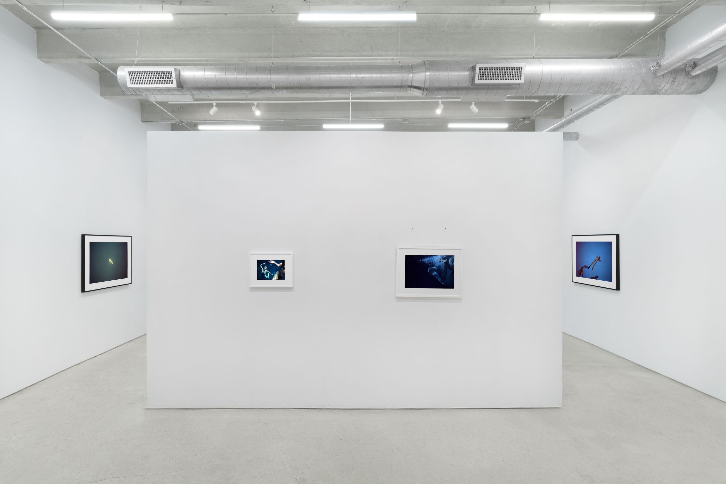 Laurie Simmons, image 2 of 3