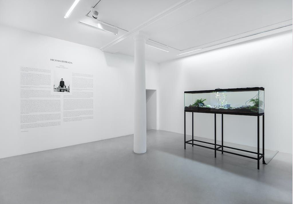 Hicham Berrada, Vestiges at Mennour, photo 6