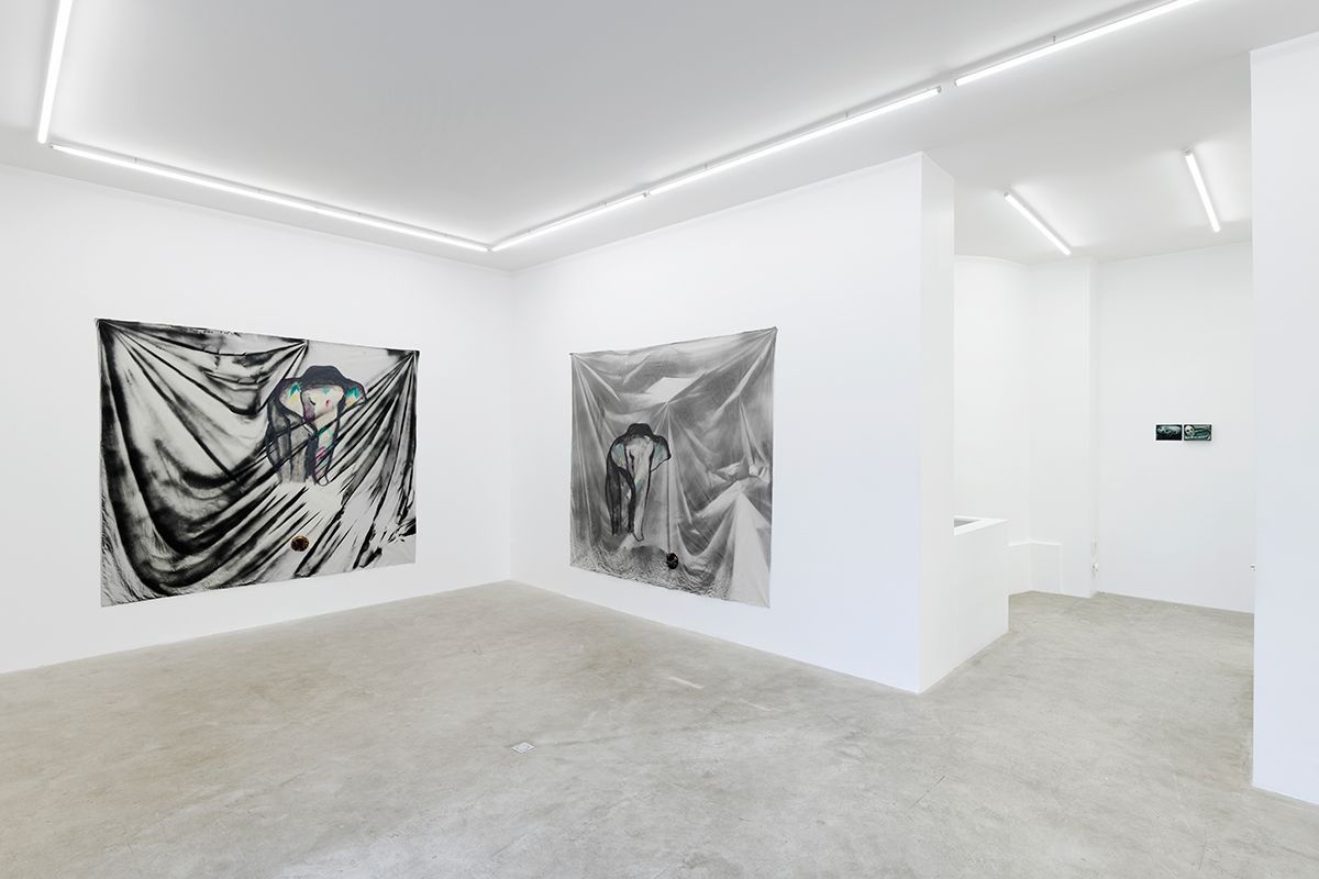 Enzo Cucchi, Enzo Cucchi at Balice Hertling, photo 2