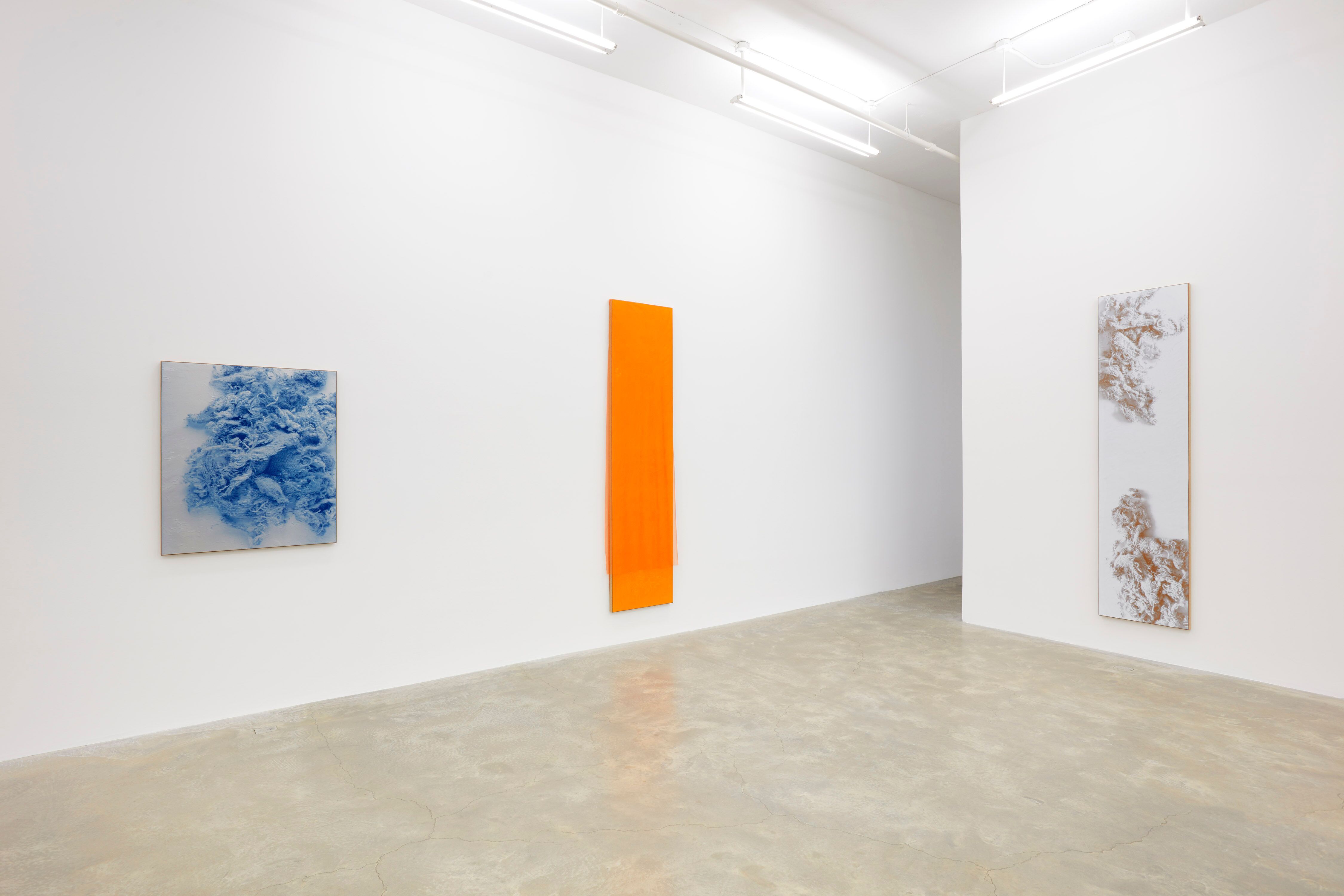 N. Dash, N. Dash at Casey Kaplan, photo 15