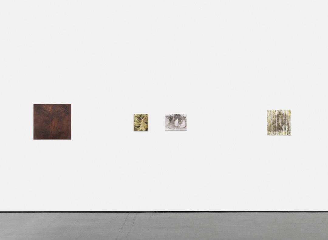 Beaux Mendes, Black Forest at Barbara Weiss, photo 2