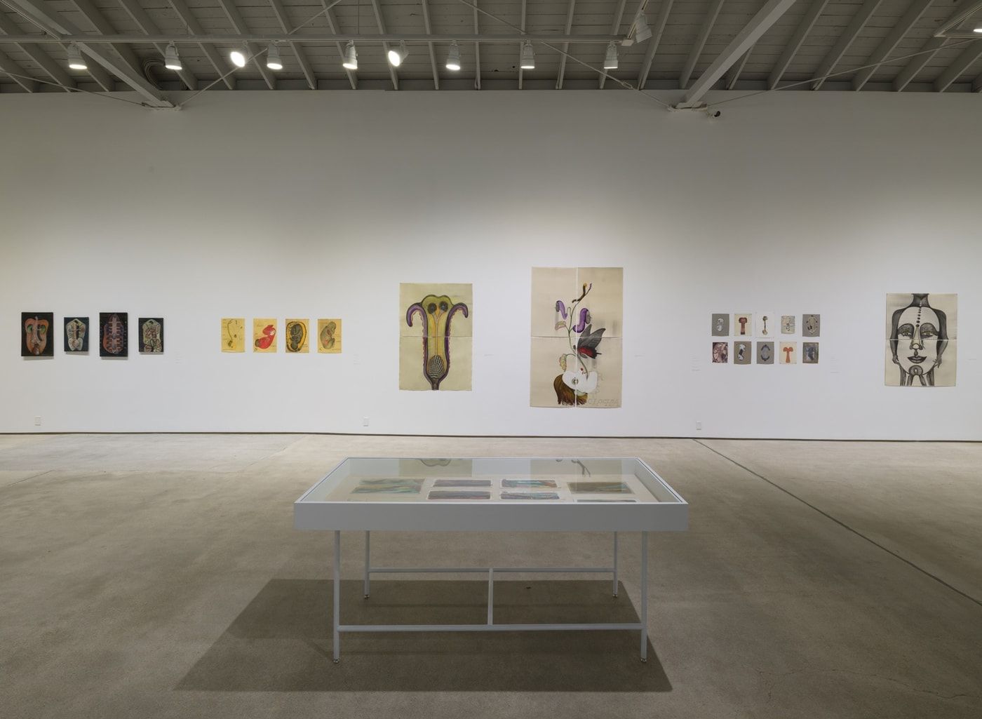 Sandra Vásquez de la Horra, The Awake Volcanoes at ICA LA, photo 5