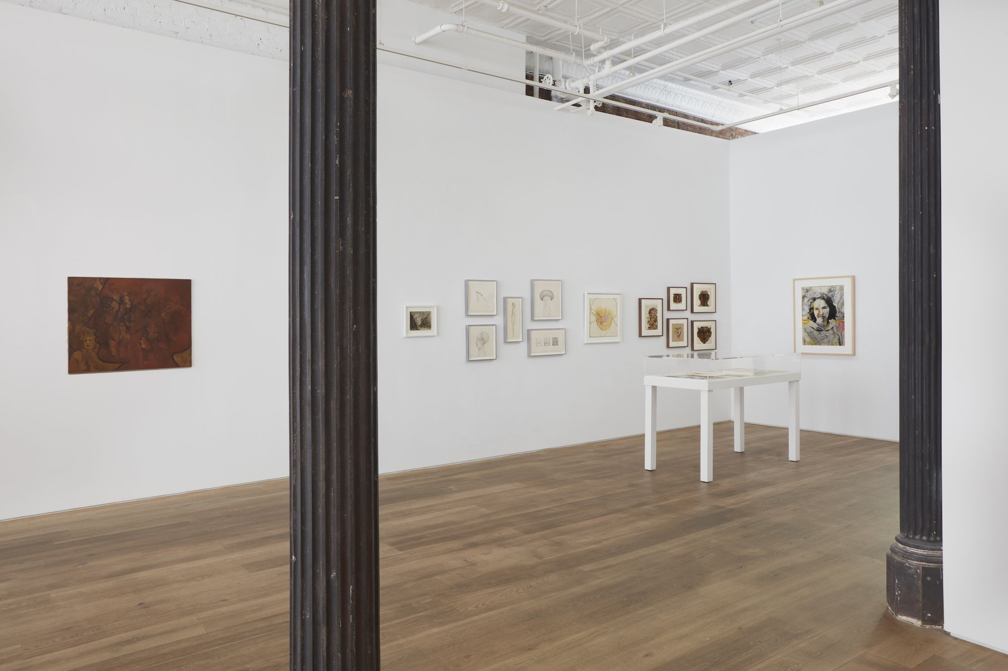 Anita Steckel, My Town at Ortuzar Projects, photo 8