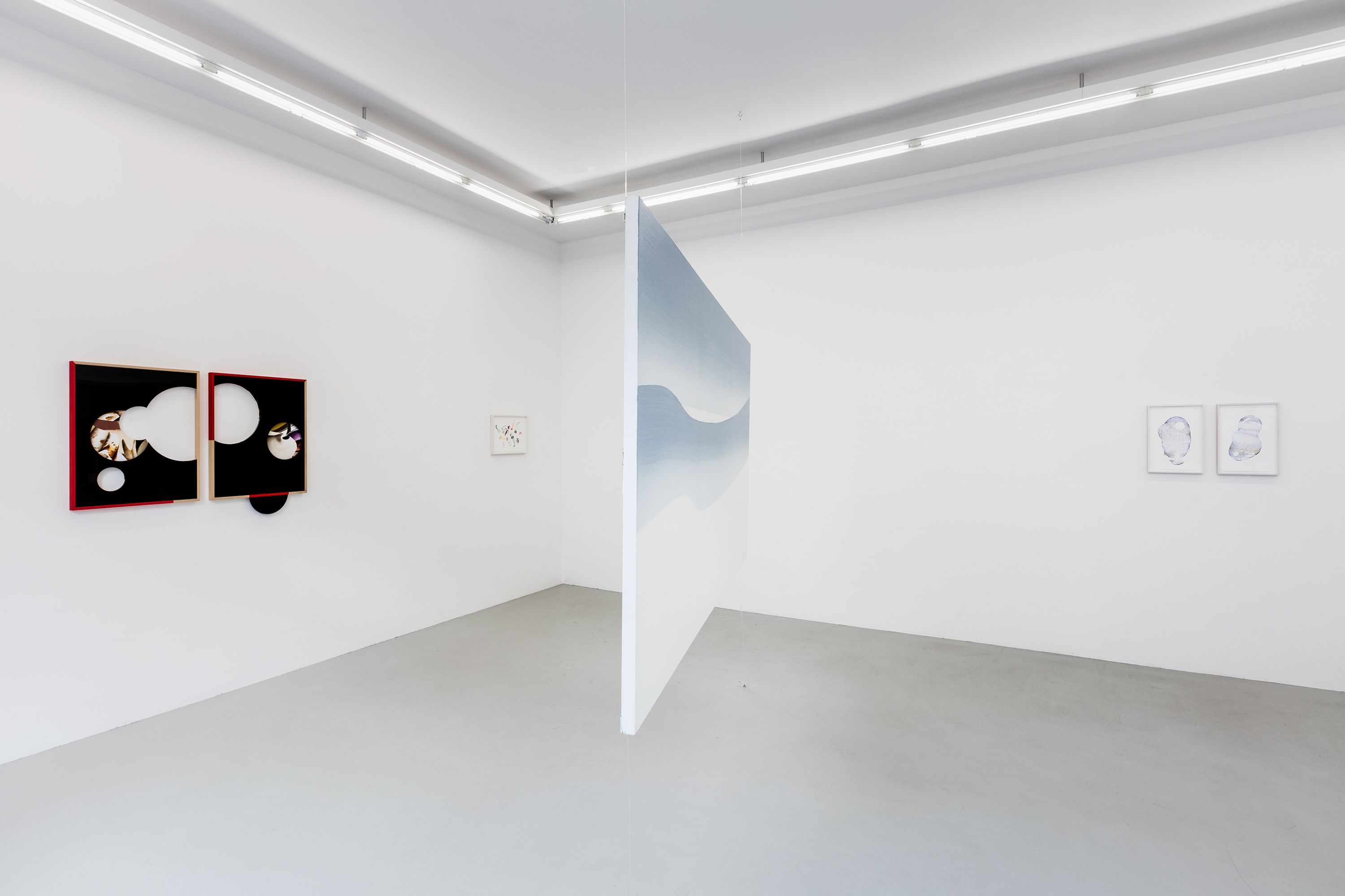 New Dawn, New Dawn at Neumeister Bar-Am, photo 3