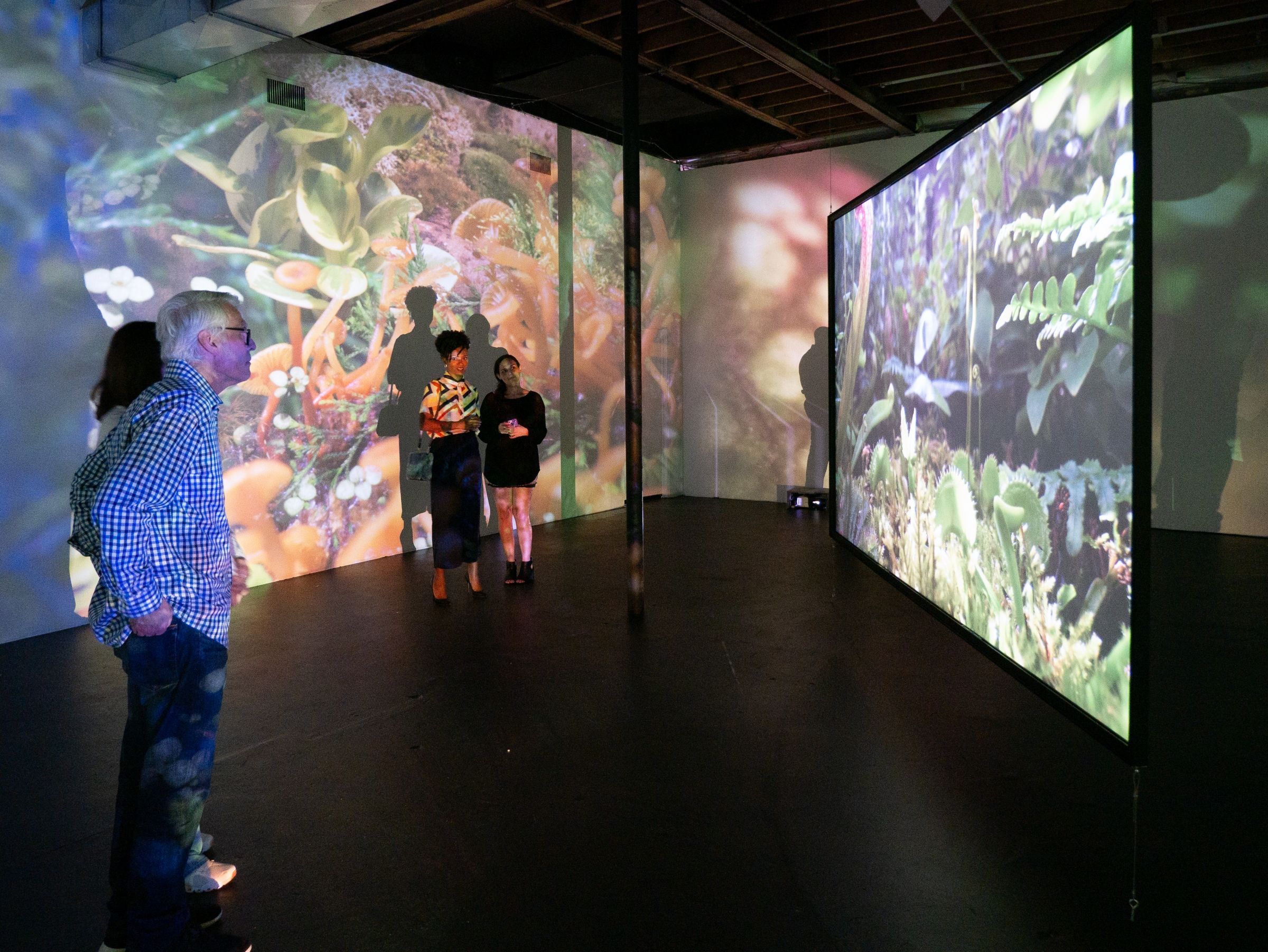 Nadia Hironaka & Matthew Suib, Field Companion at Locust Projects, photo 3