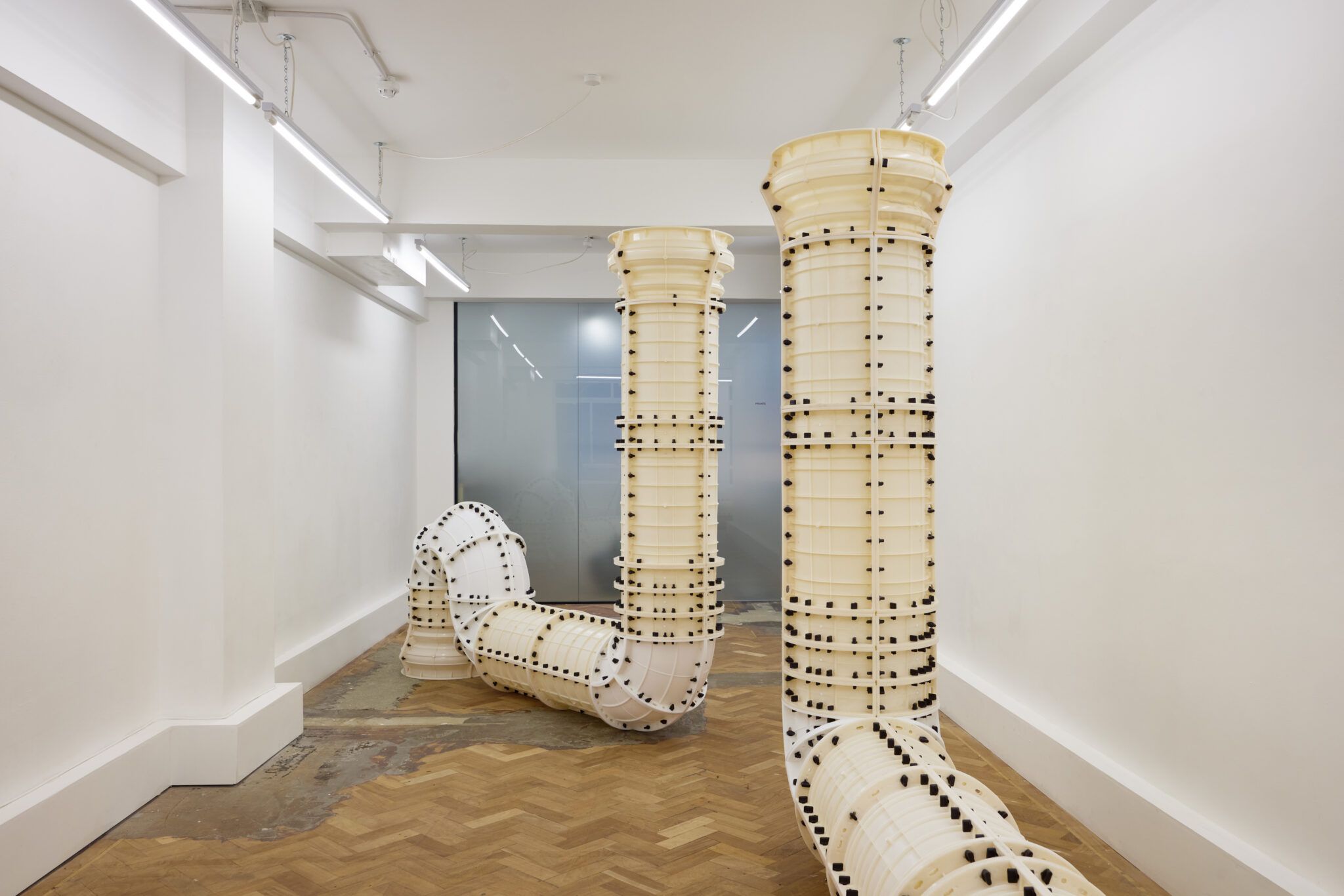 Jan Vorisek, Elbows at Arcadia Missa, photo 2