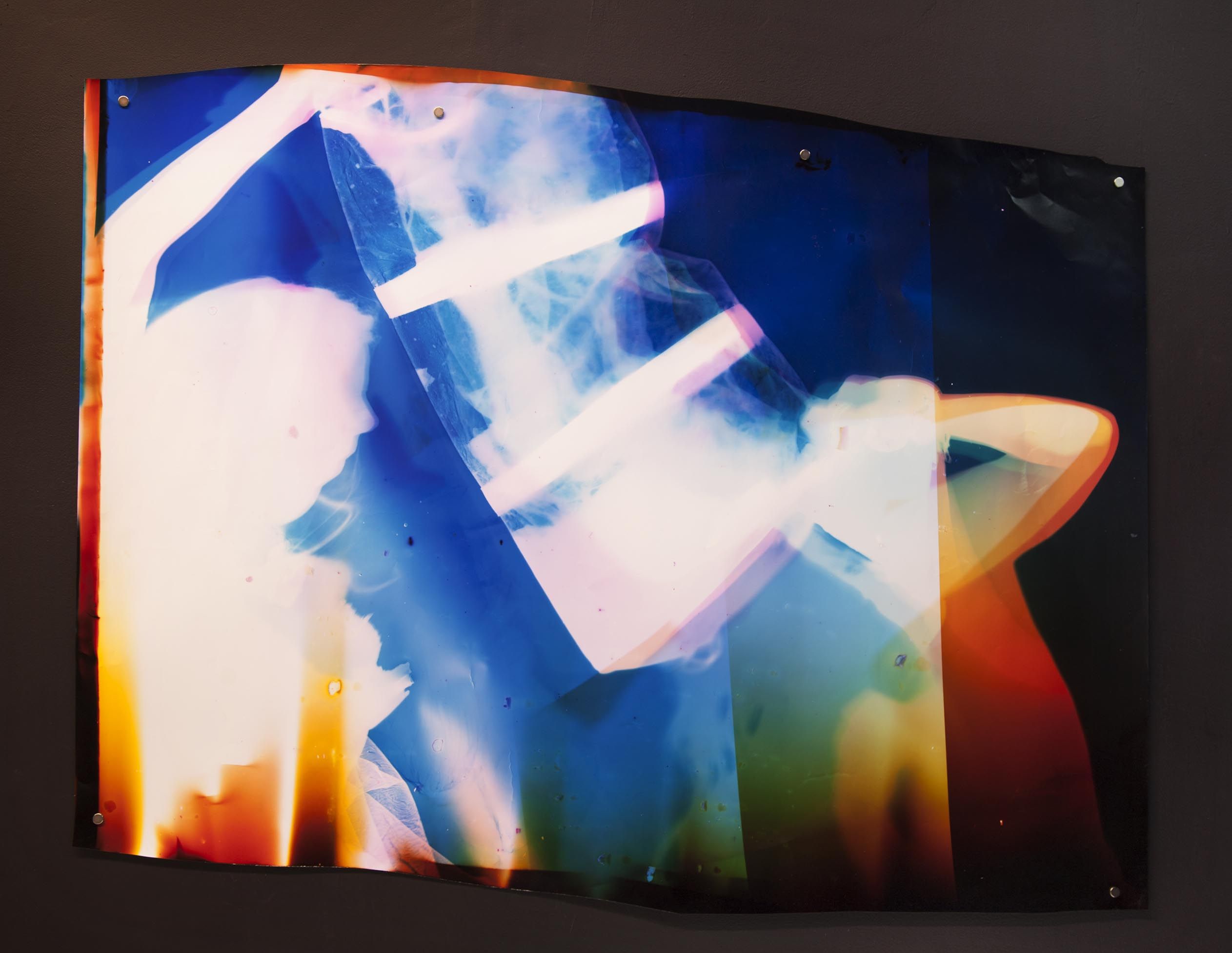 Tatiana Kronberg, Exposure at Essex Flowers, photo 6