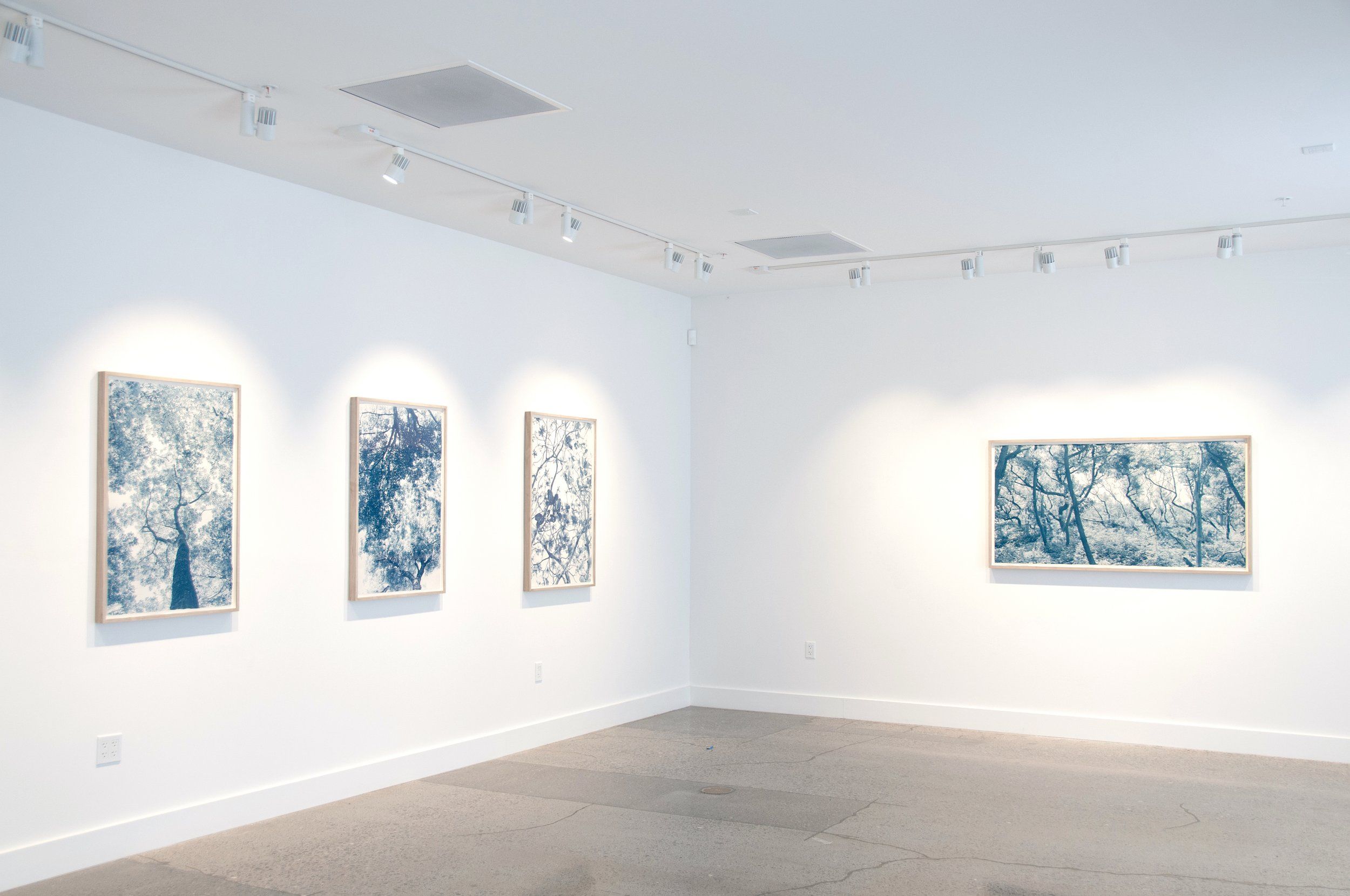 Dora Somosi, Understory, In Blue at Sarah Shepard, photo 3