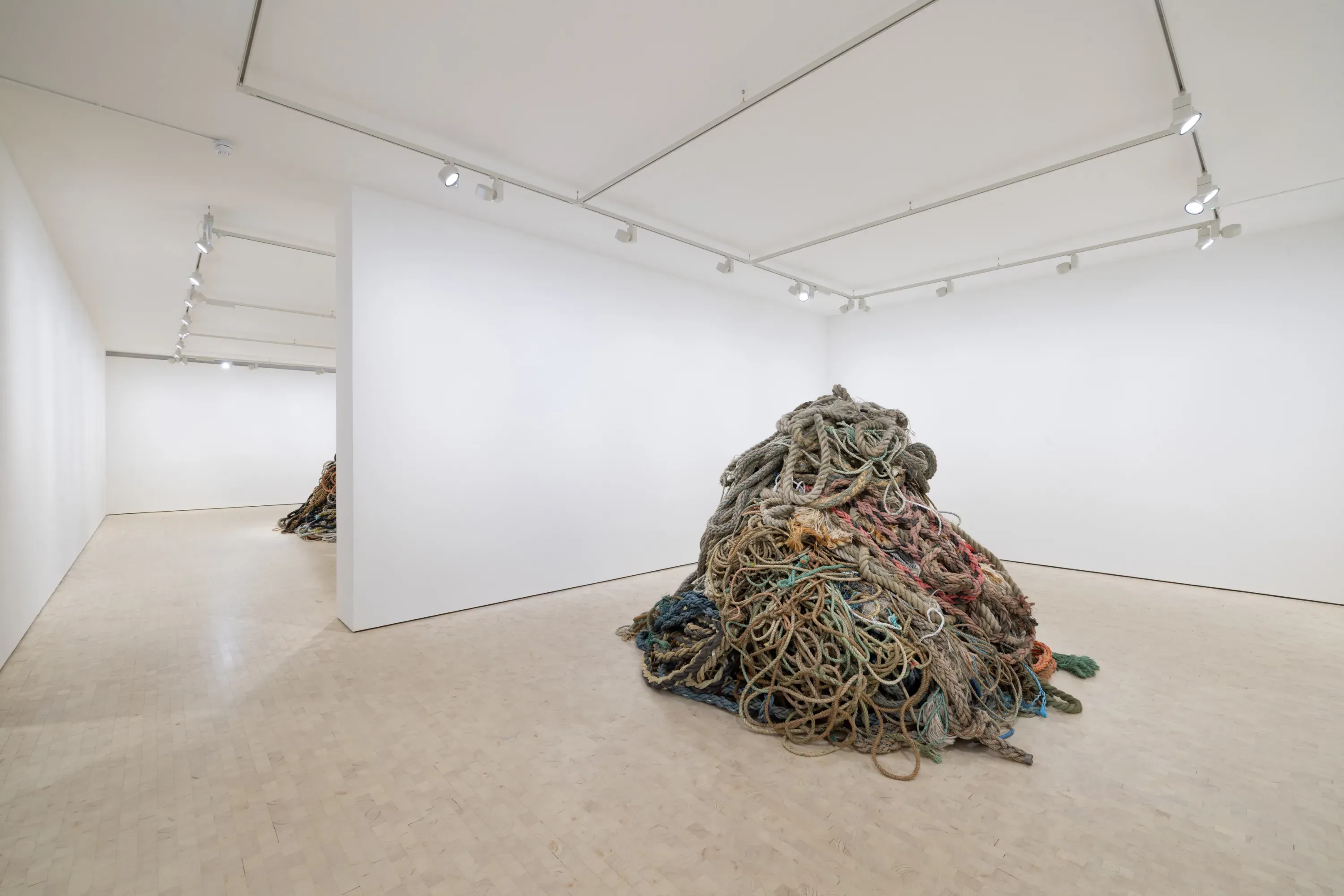 David Shrigley, Exhibition of Old Rope at Stephen Friedman, photo 3
