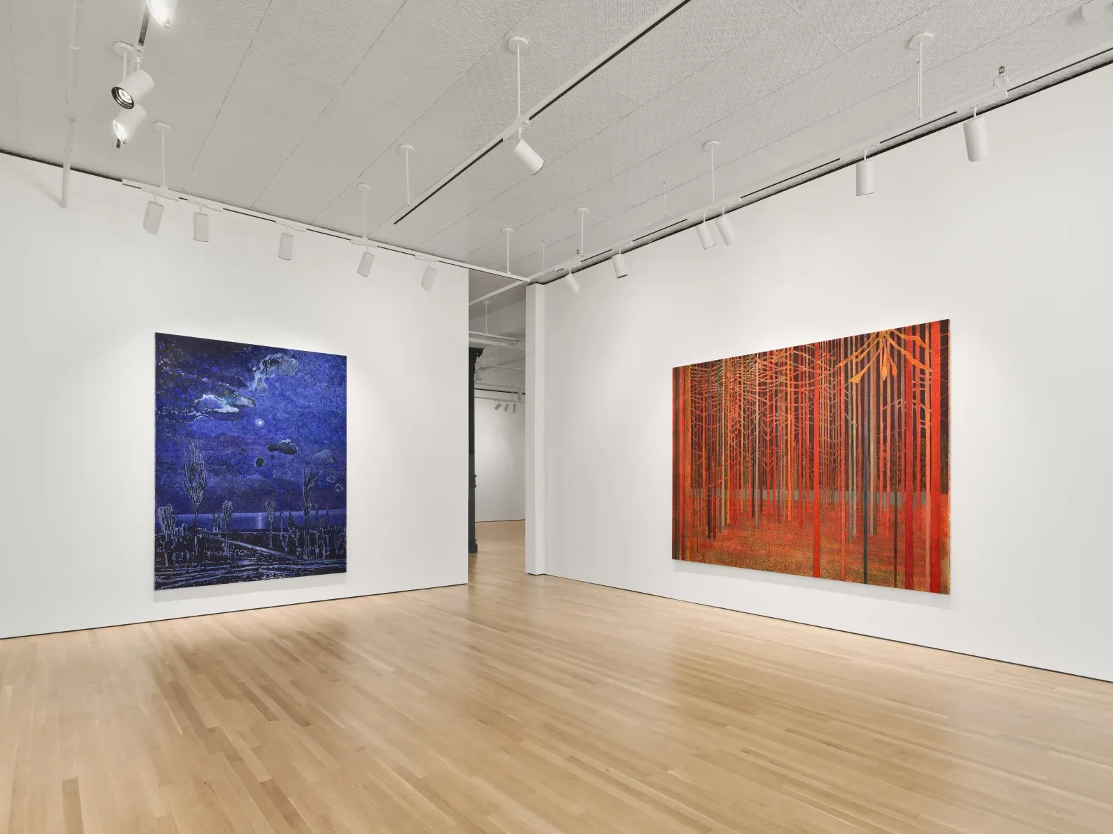 Sky Glabush, The Letters of This Alphabet Were Trees at Stephen Friedman, photo 10