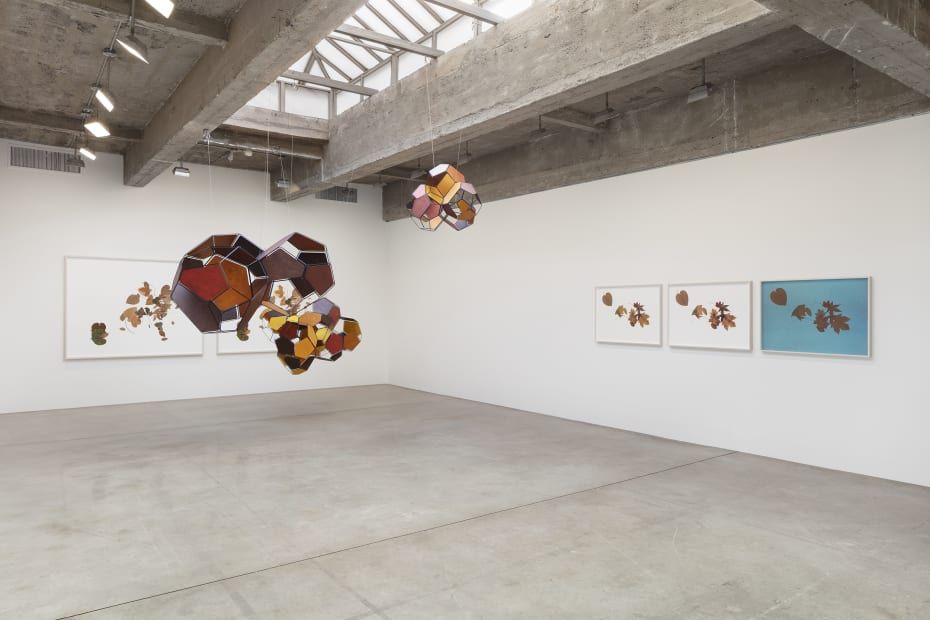 Tomás Saraceno, Silent Autumn at Tanya Bonakdar, photo 7