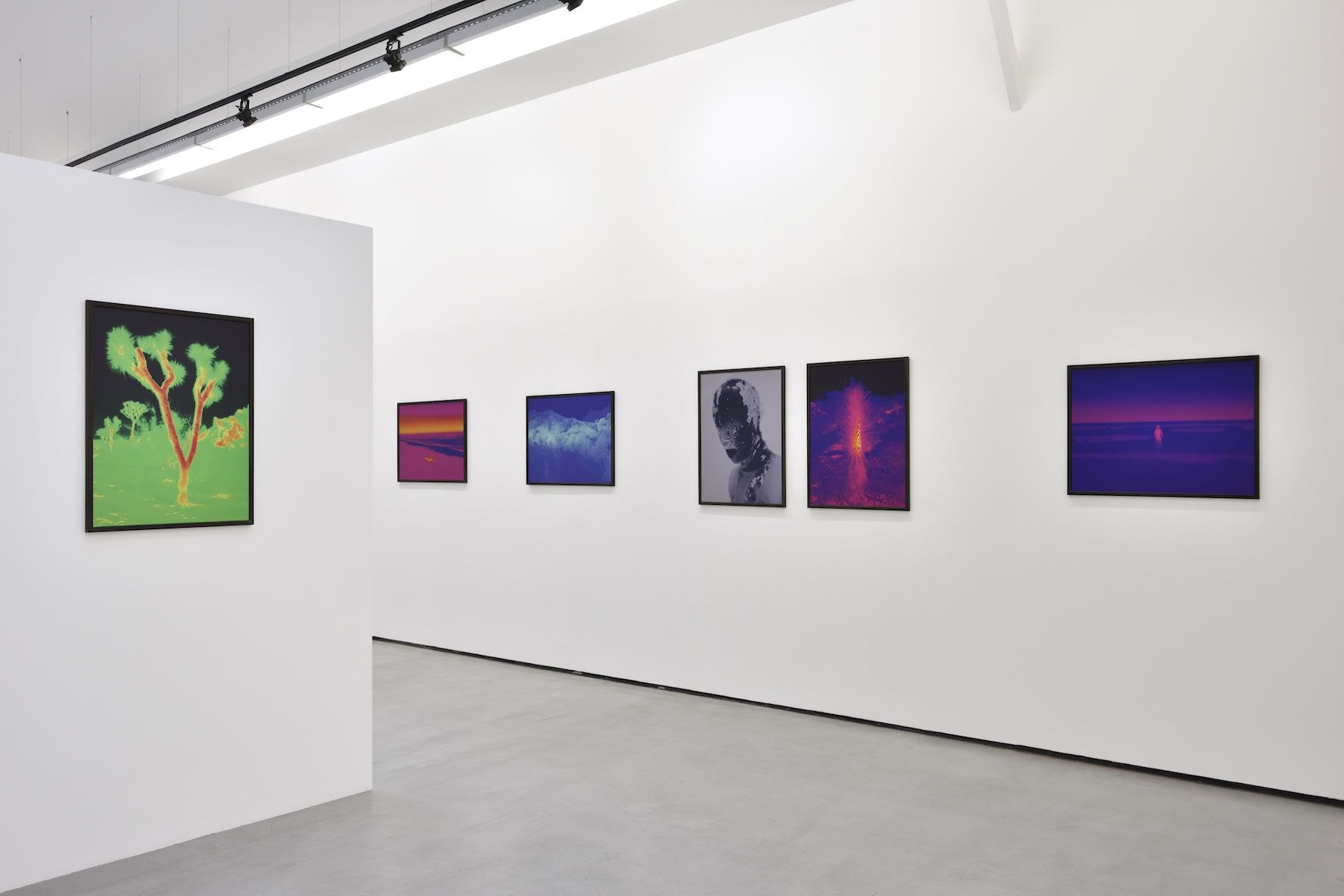 Smith, Dami at Christophe Gaillard, photo 3