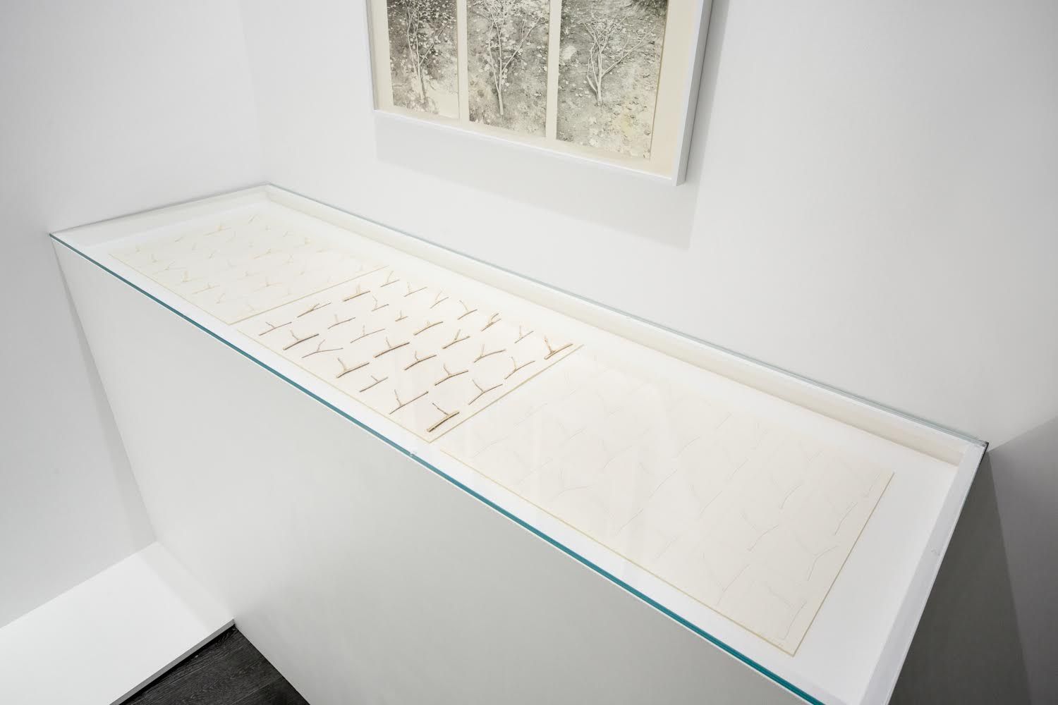 Hannah Villiger, image 7 of 7