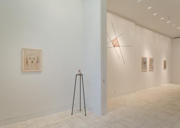 Installation view 2