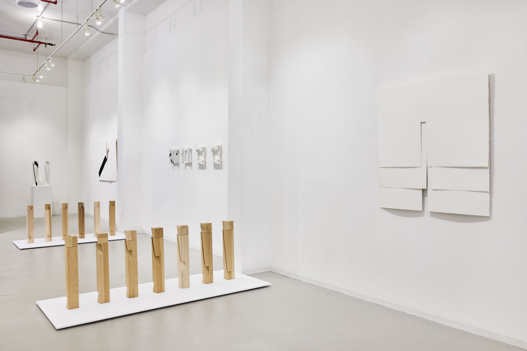 Roland Gebhardt, Diverse Vocabularies at David Richard Gallery, photo 12