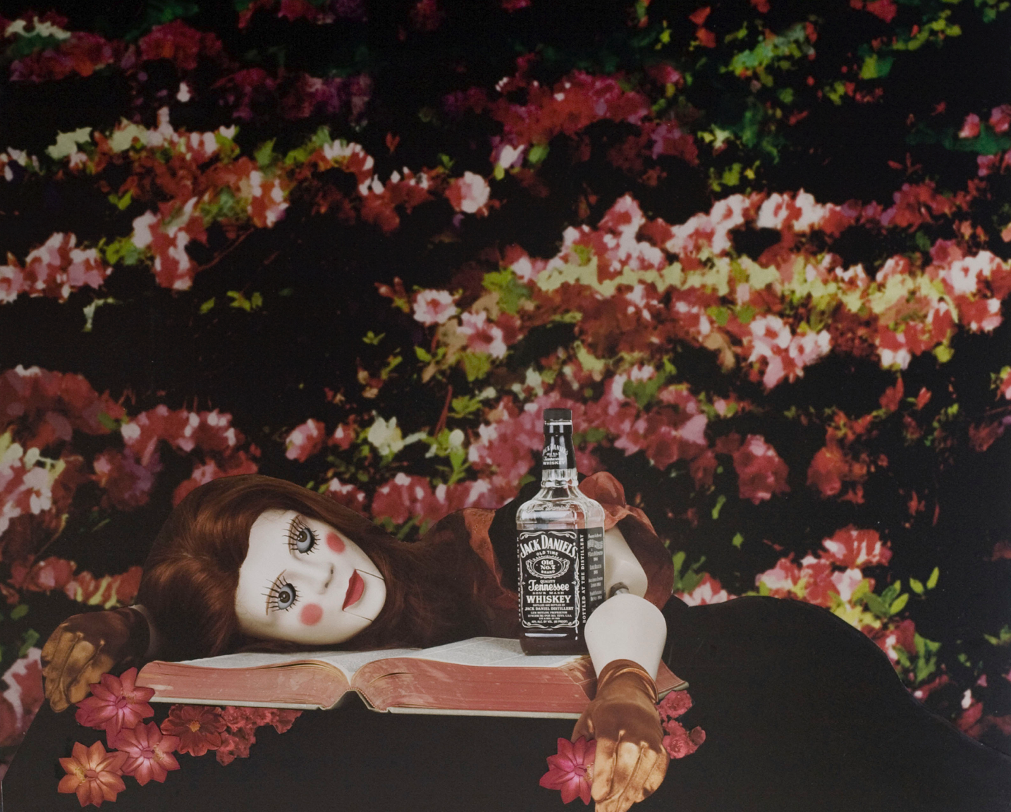 Jim Shaw & Marnie Weber, image 3 of 3