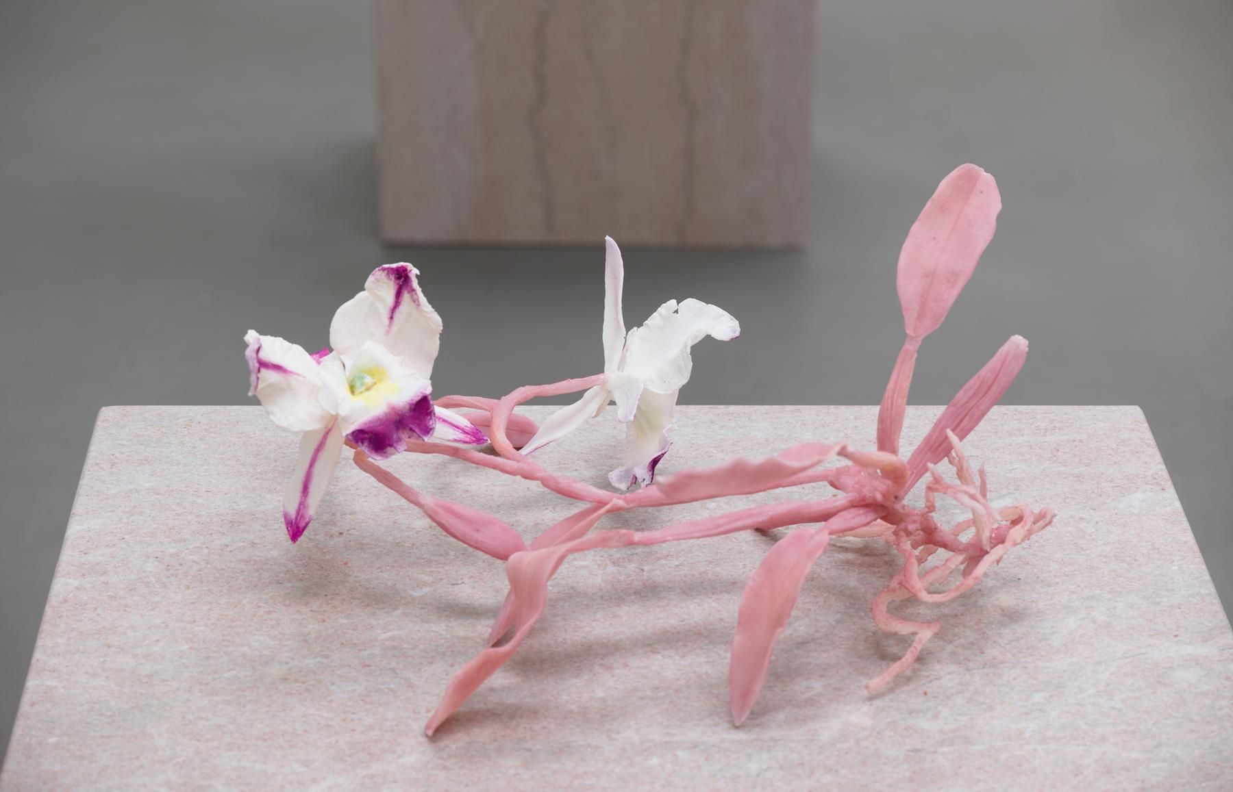 Keith Edmier, Regeneratrix at Petzel, photo 7