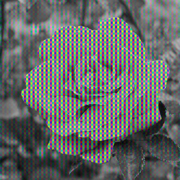 Damon Zucconi, image 2 of 2