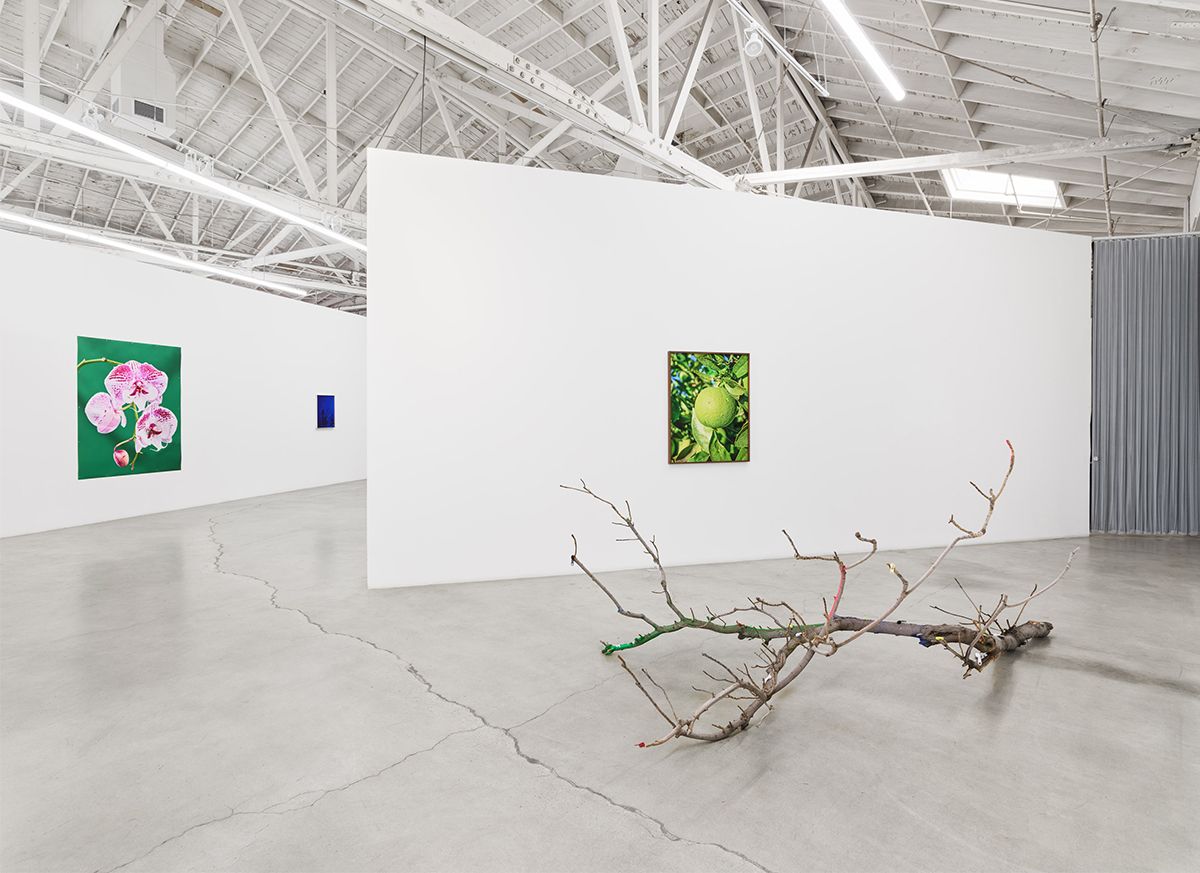 Awol Erizku, Scorched Earth at Night Gallery, photo 2